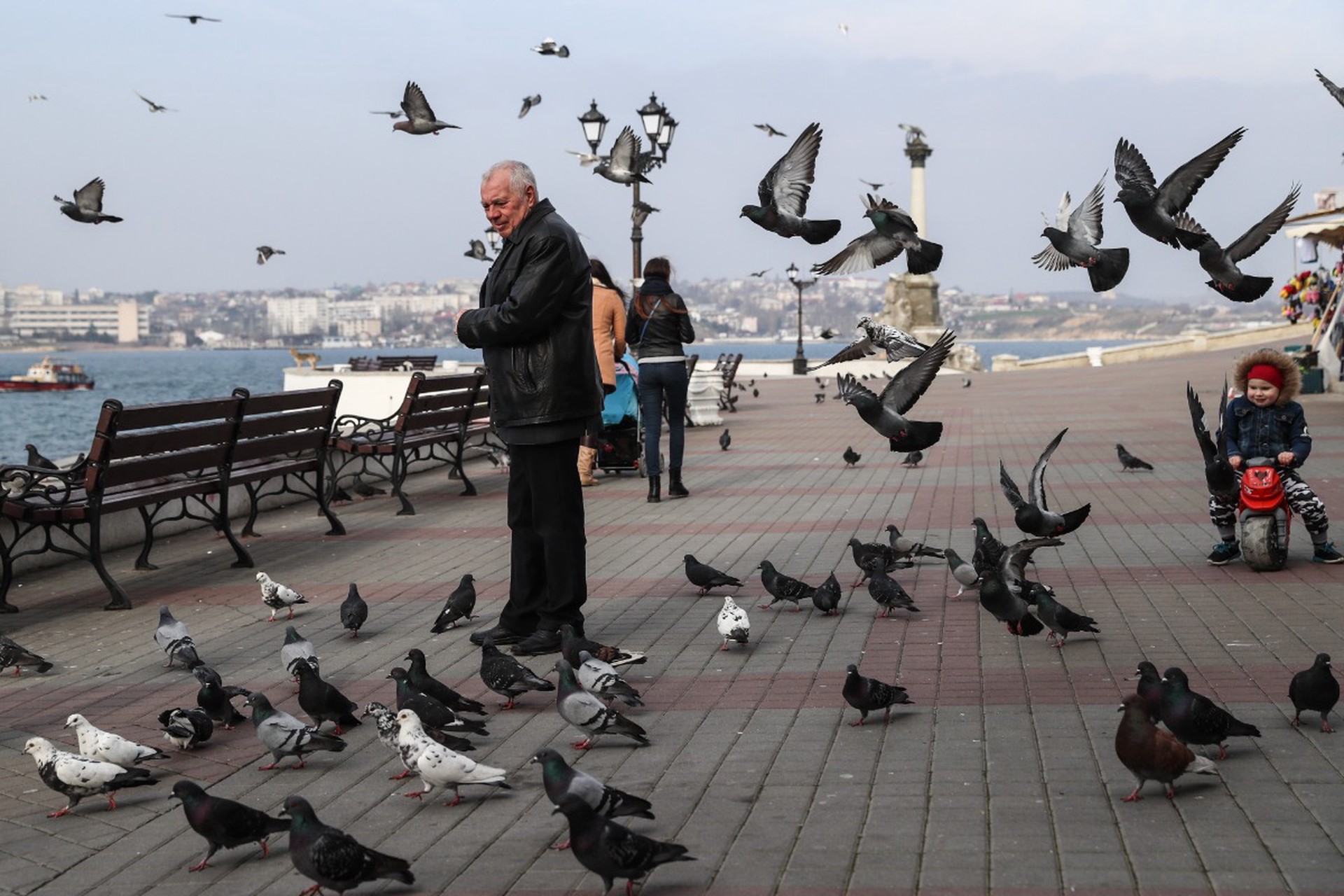 Юрист напомнила о рисках крупного штрафа за кормление птиц на улице