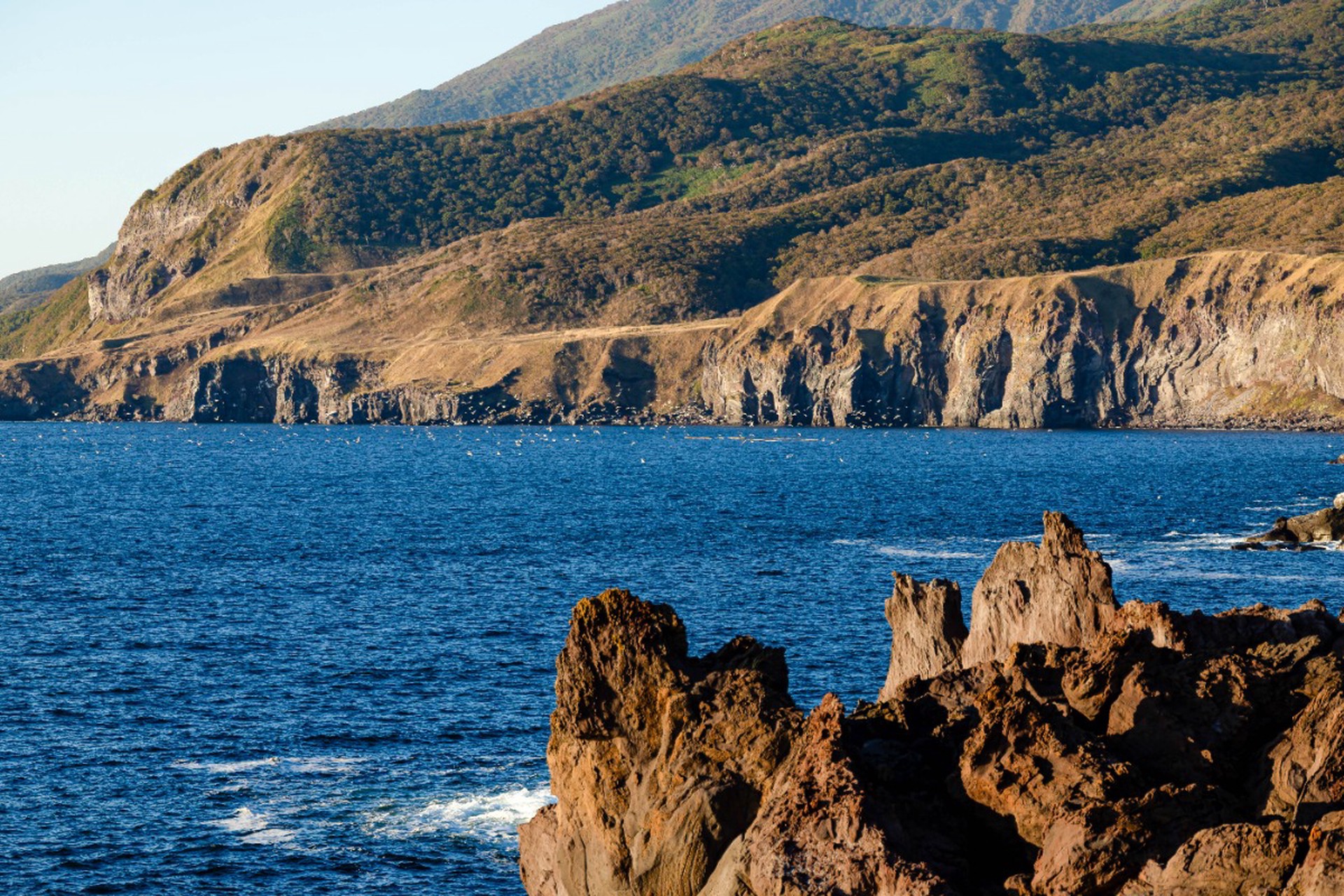 Baijiahao: Россия жестко отреагировала на скандал в Японии из-за Курил