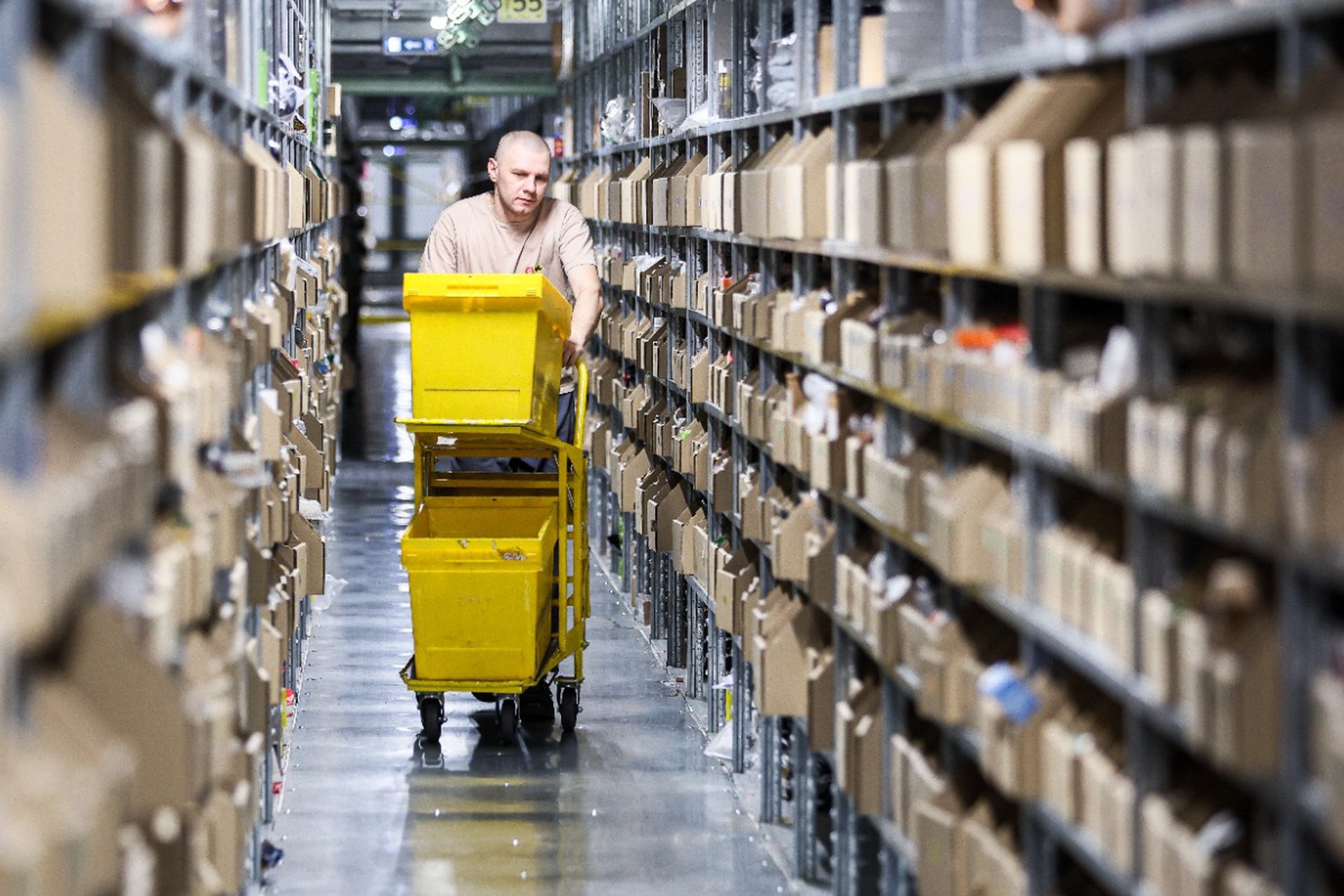 Экономист предрек провал продавцам маркетплейсов после выхода на рынок Эфиопии