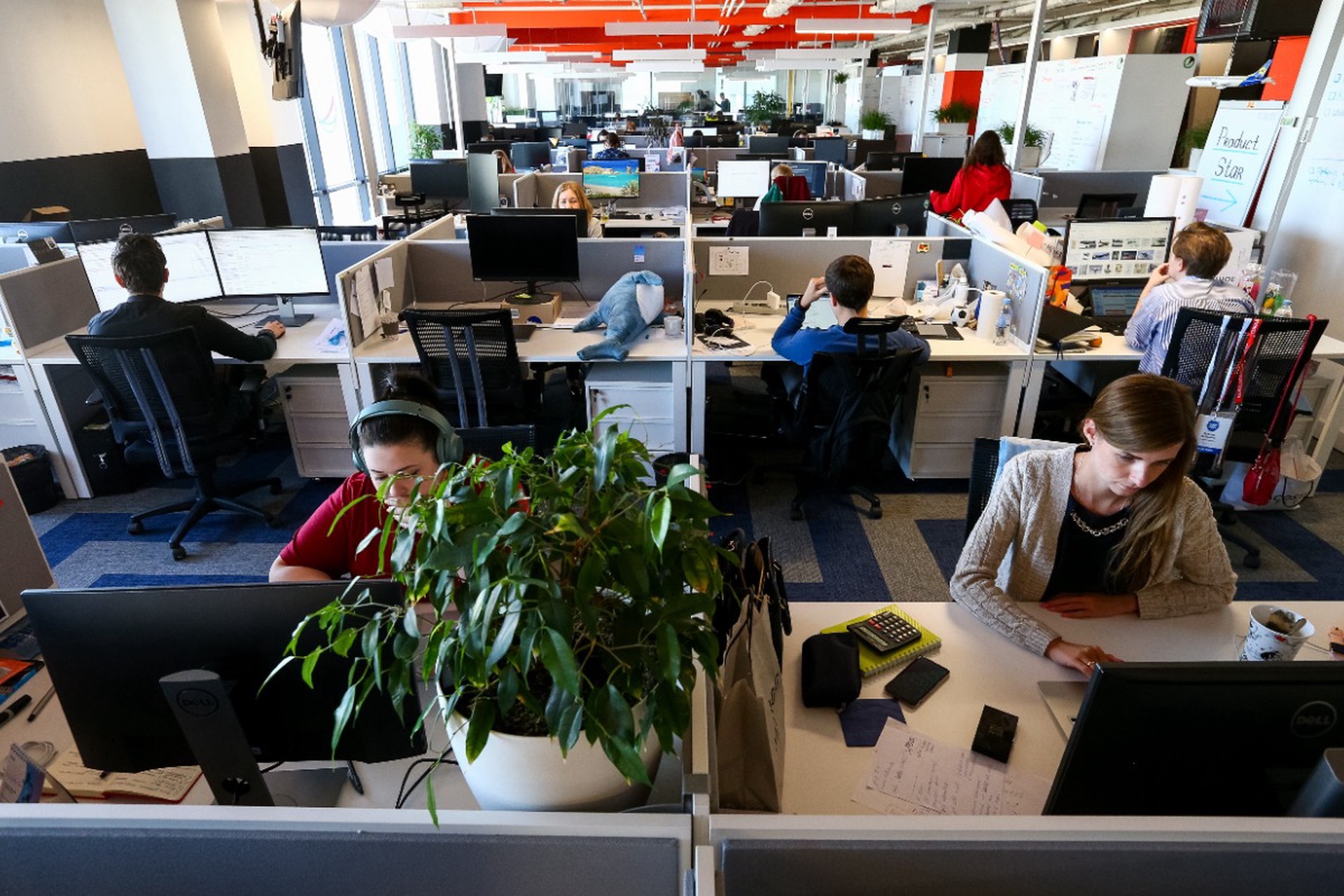 Офисные войны: как выжить в токсичном коллективе