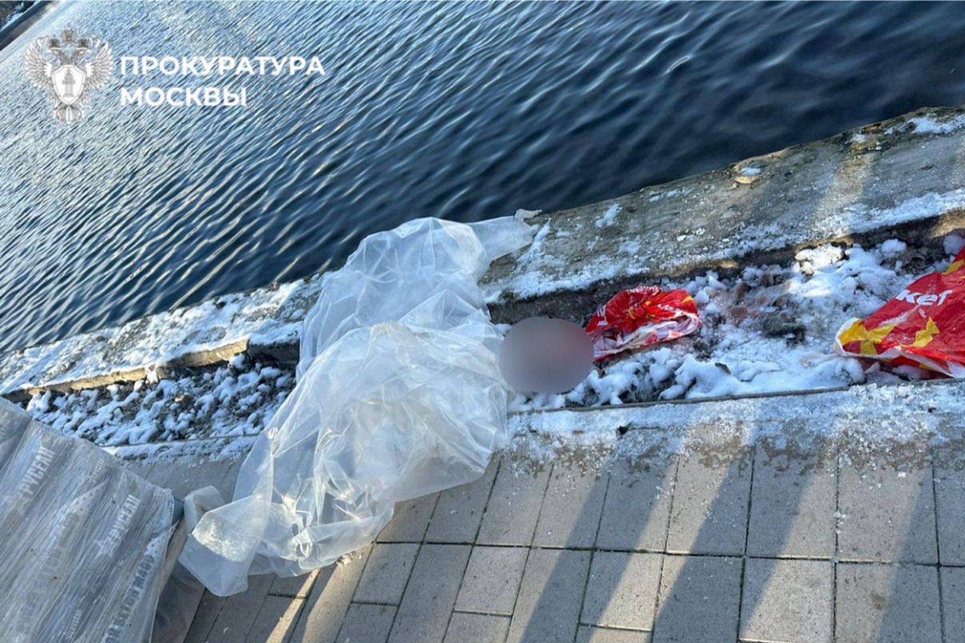 Голову ребенка в рюкзаке нашли в пруду