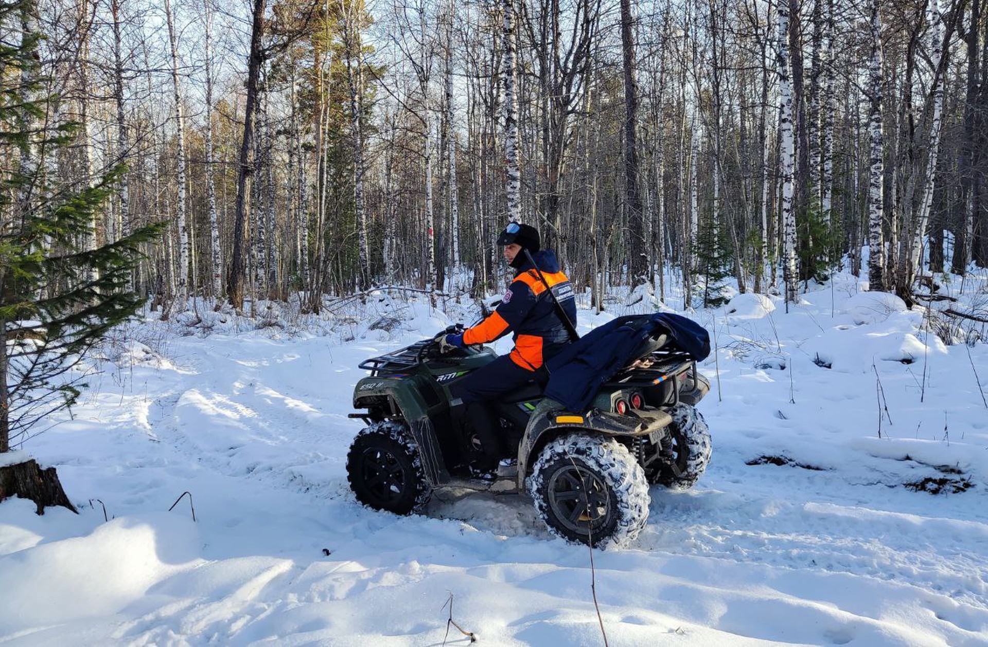 Спасатели возобновили поиски пропавшей в тайге семьи Усольцевых