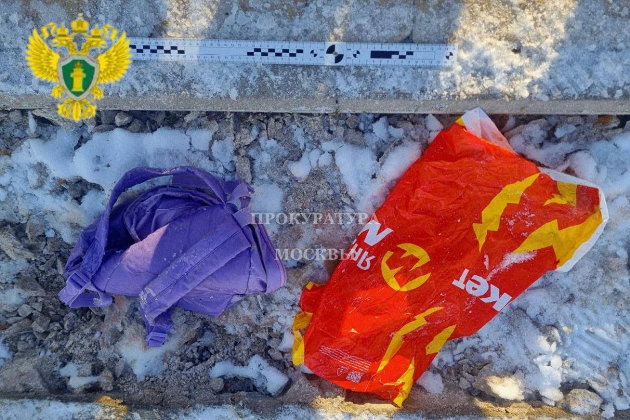 Женщине, жестоко убившей шестилетнего сына в Подмосковье, предъявили обвинение