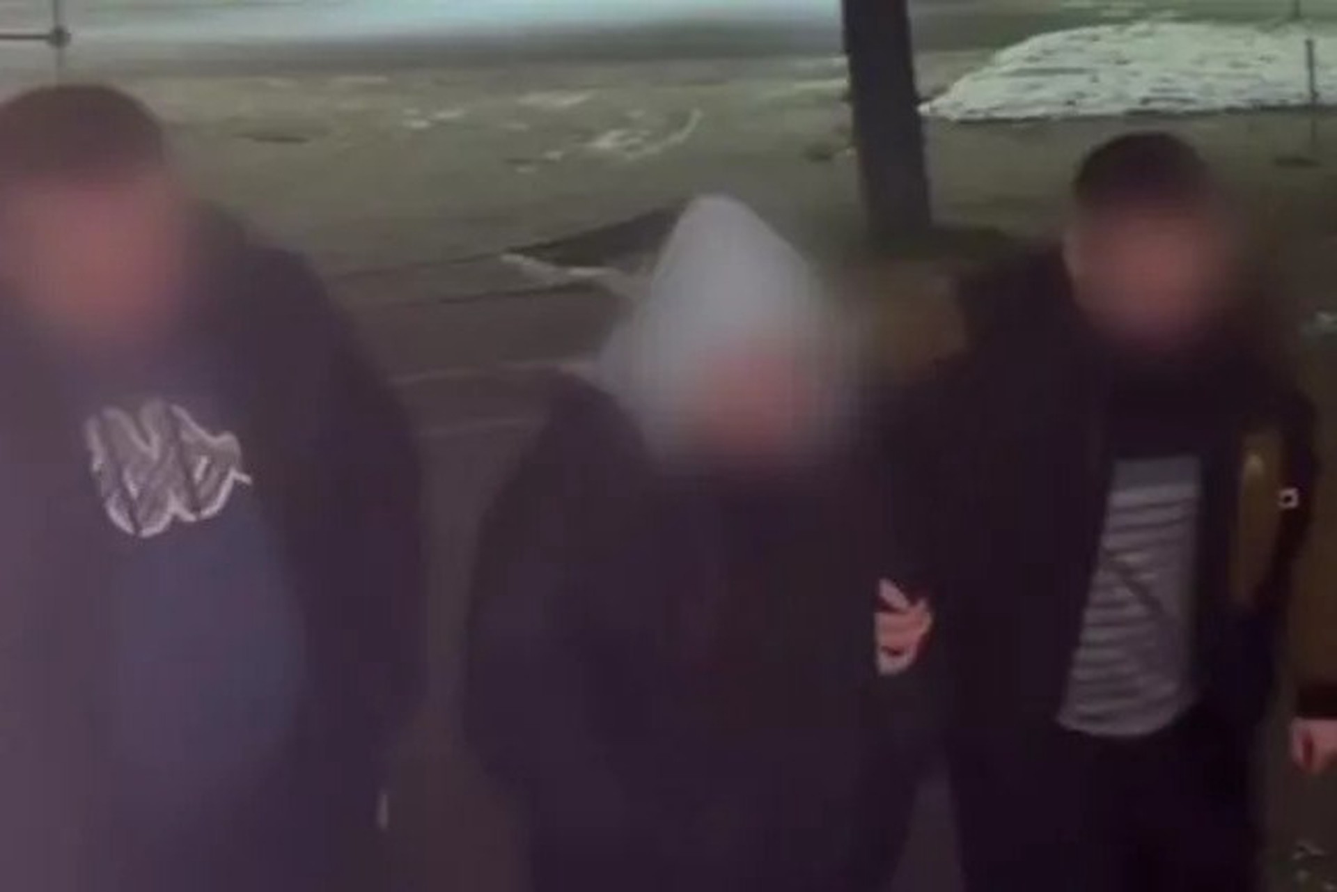 Расчлененка в Балашихе: что известно о жутком убийстве ребенка и как накажут мать-ведьму