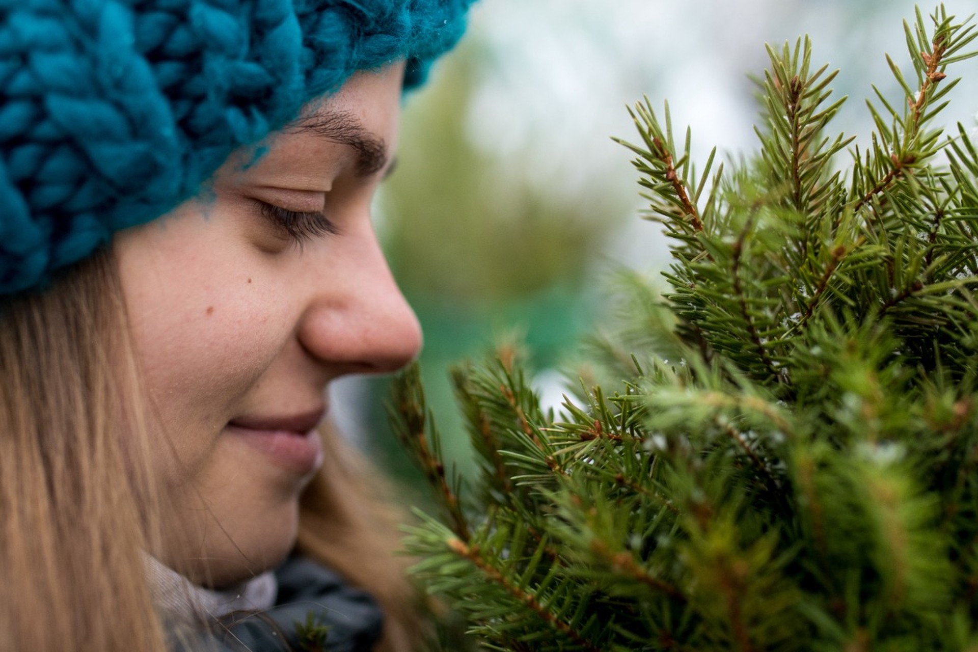 Живая ель против искусственной: честный разбор, что выгоднее и экологичнее