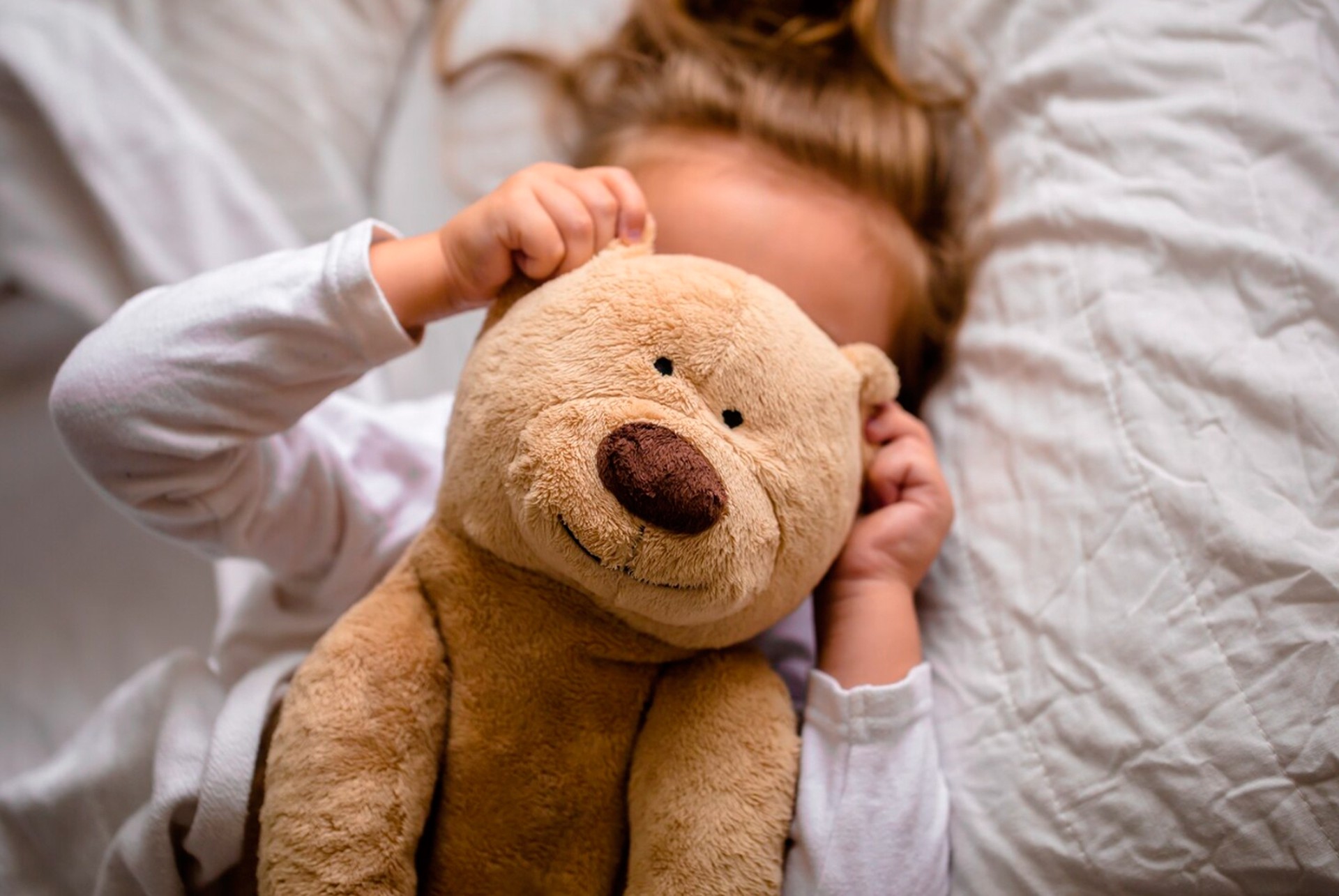 Плюшевый мишка поплатился за рассказы детям о сексе