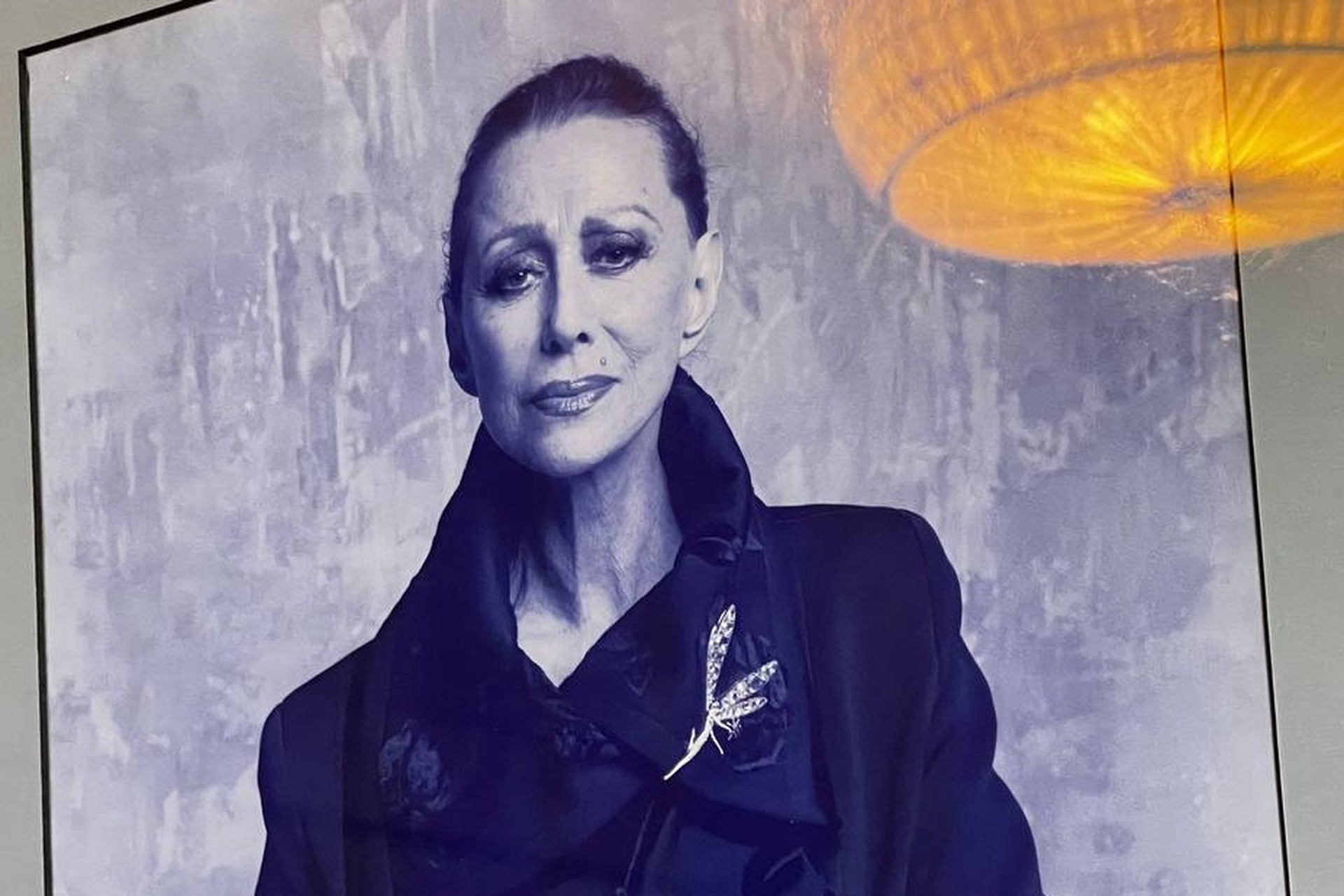 Квартира Майи Плисецкой: тайны и интерьер легендарной балерины