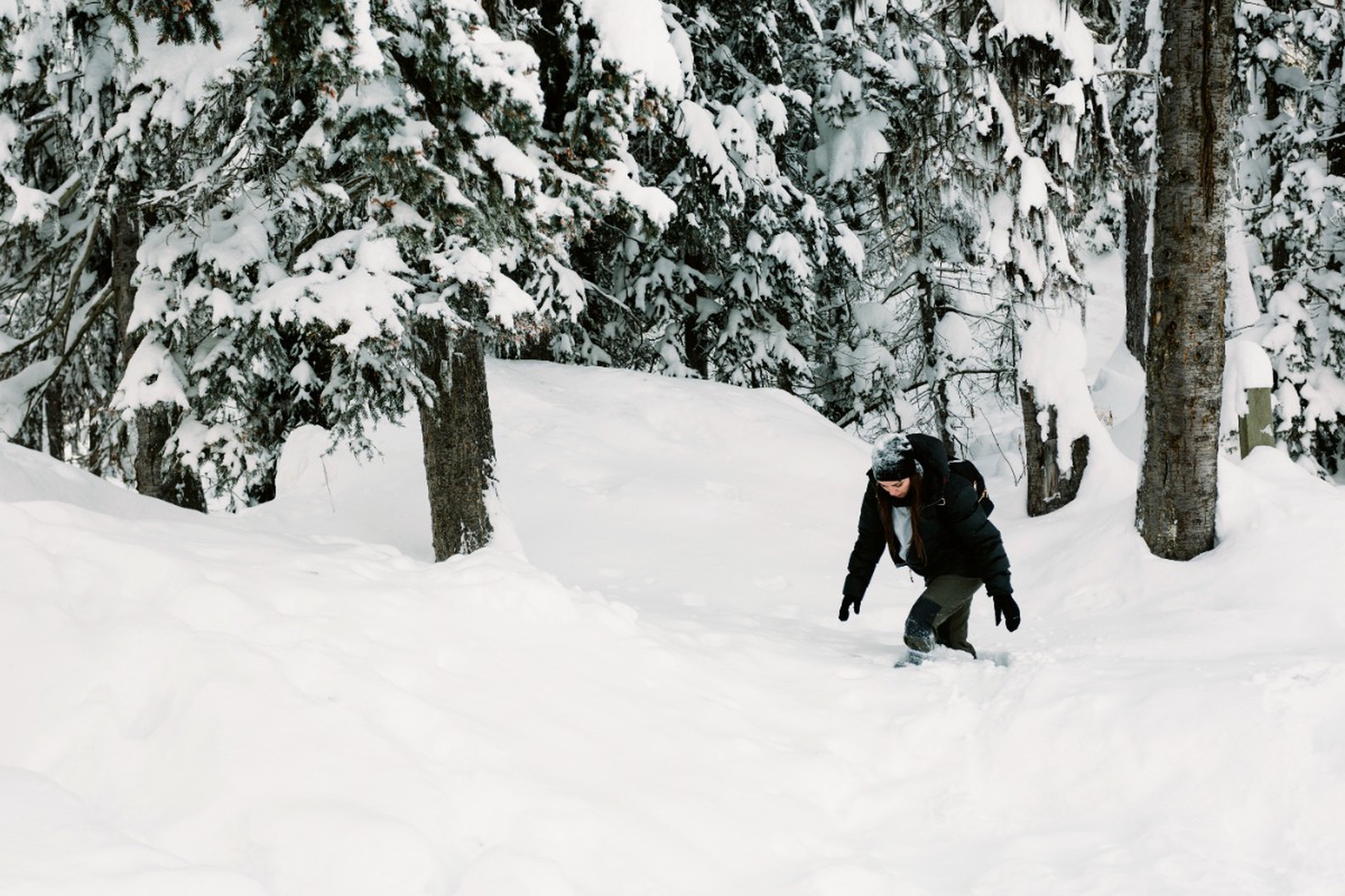 Семья с четырьмя маленькими детьми пропала в тундре 