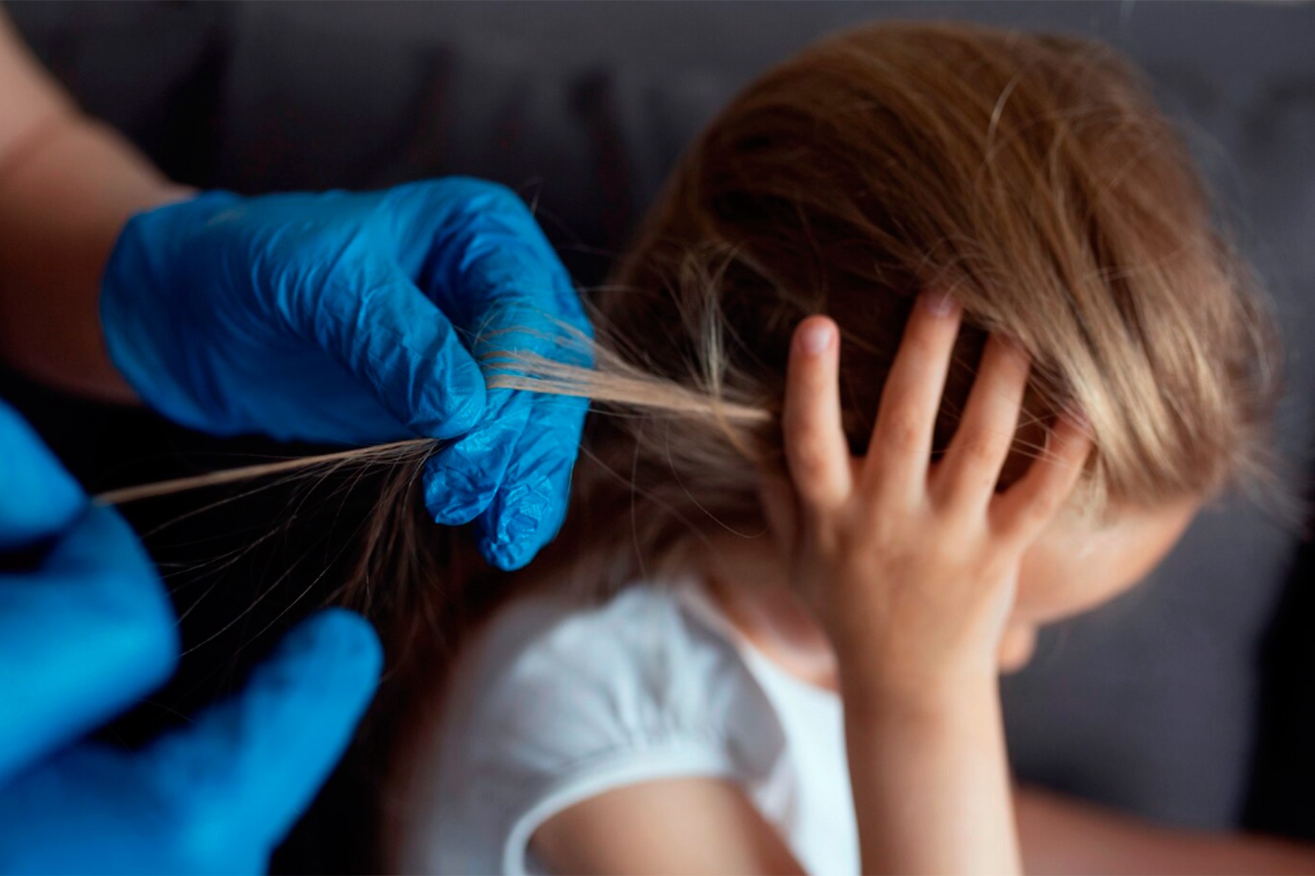 Массовое заражение вшами произошло в российской школе