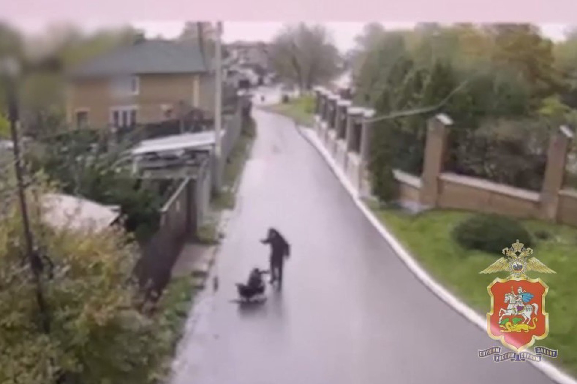 Мужчина зарезал пса, напавшего на его собаку