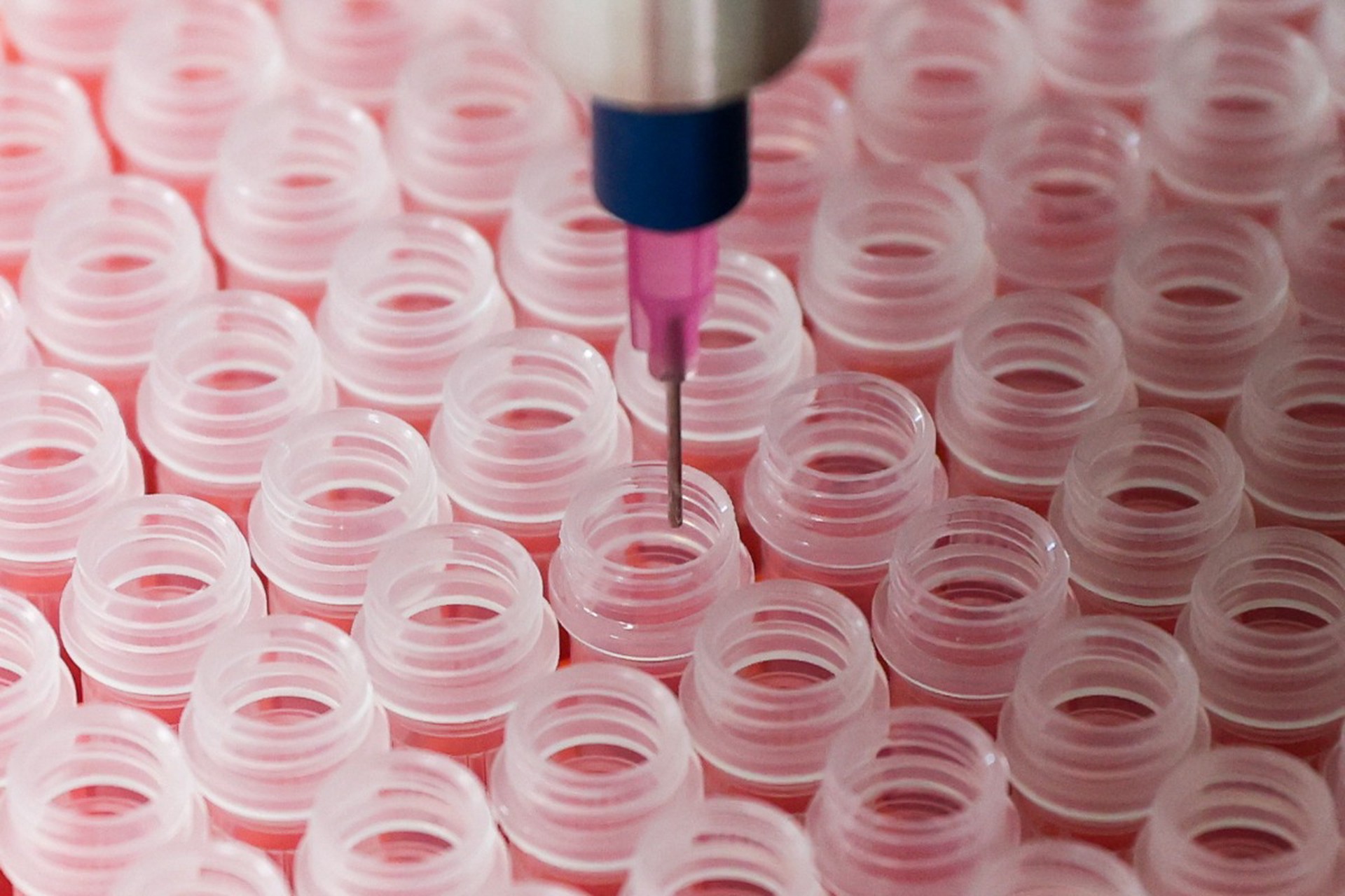 Опаснее COVID-19: мутирующий грипп угрожает человечеству