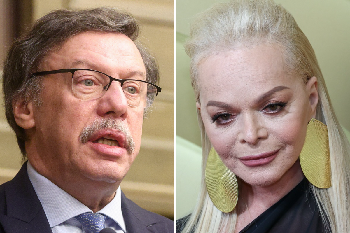 Адвокат не исключил связи между отставкой Барщевского и делом Долиной