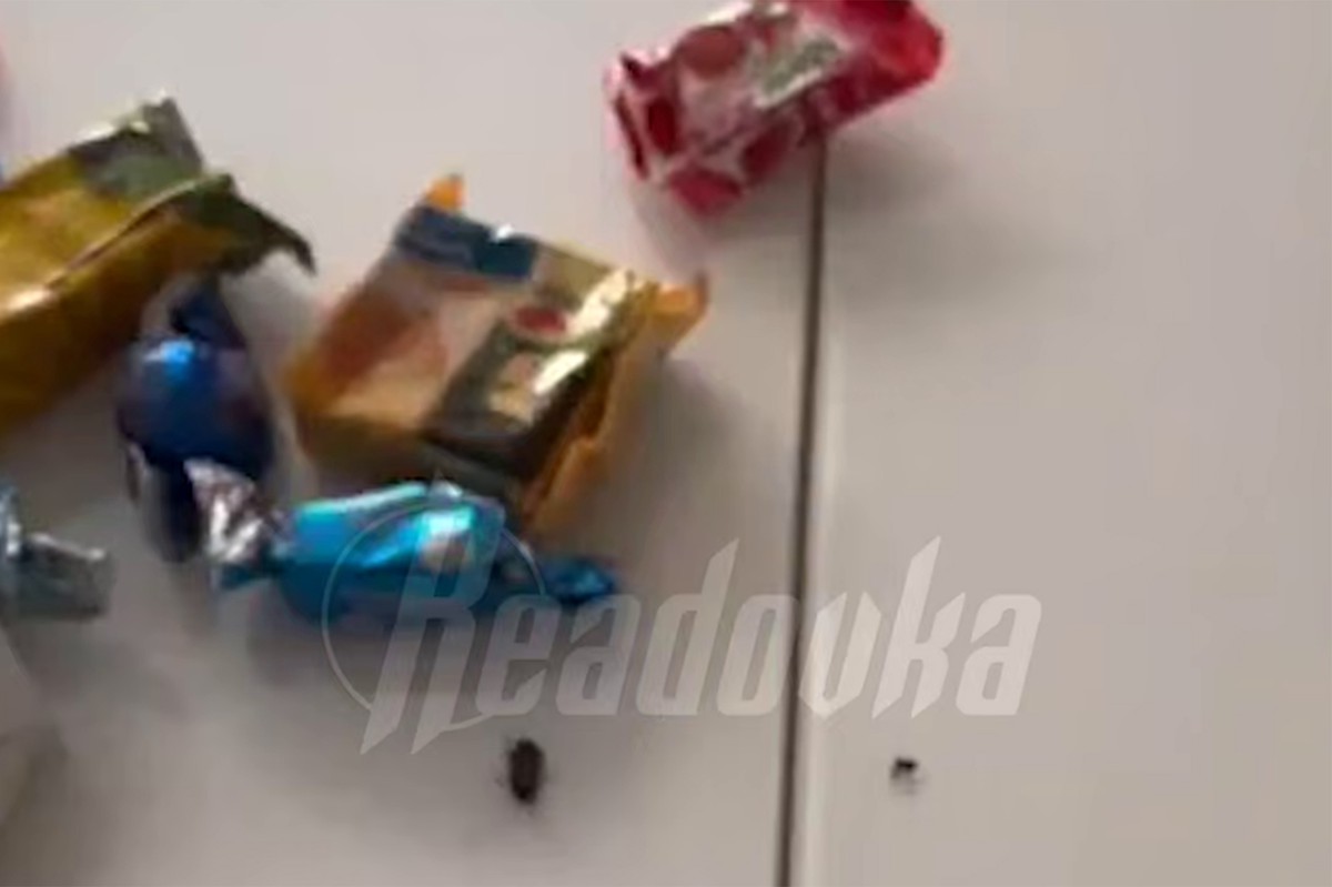 Девочке в детсаду подарили набор сладостей с тараканами