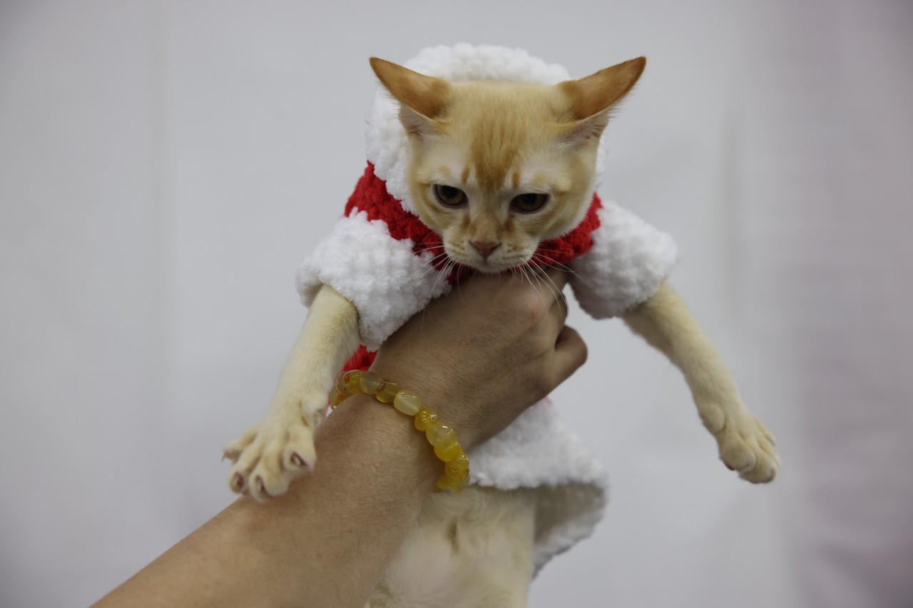 Фото © Анастасия Романова / Абзац