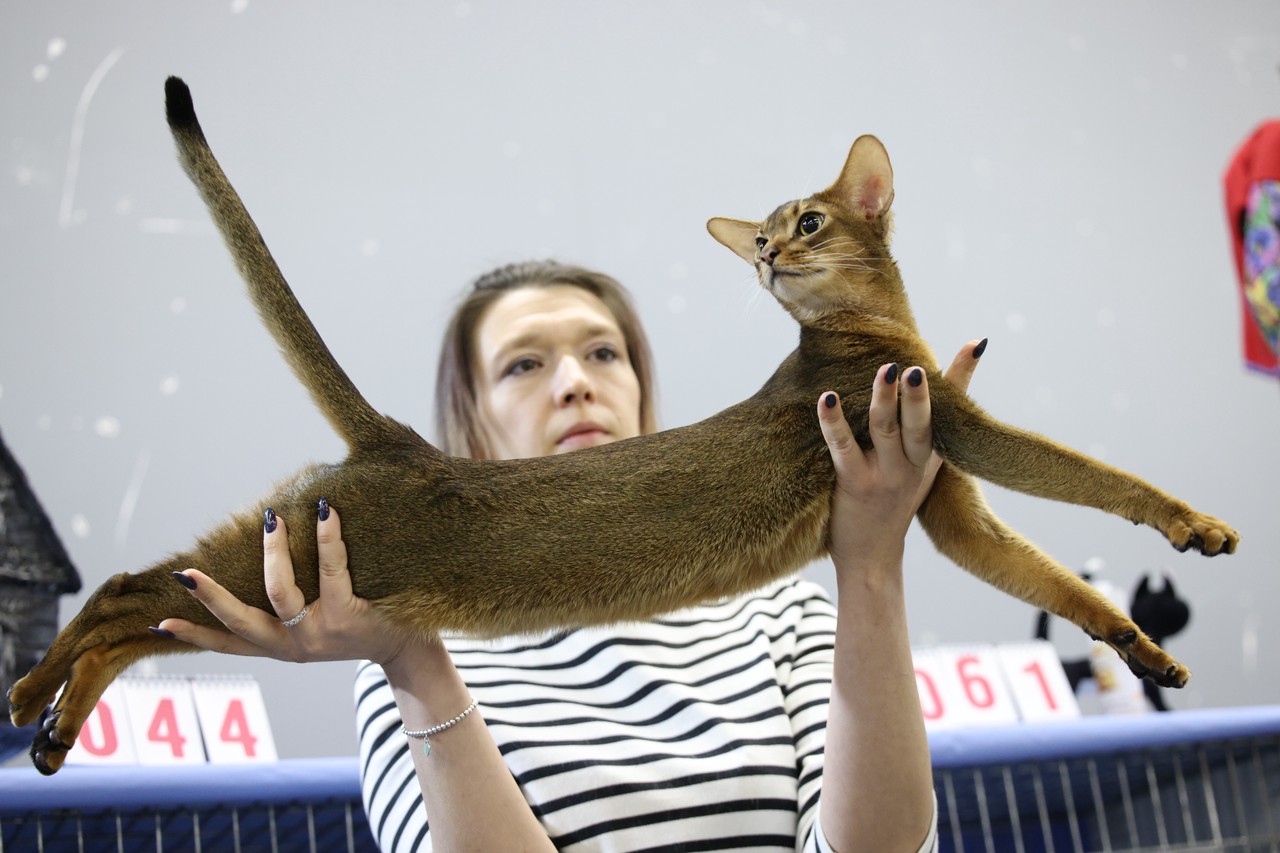 Фото © Анастасия Романова / Абзац