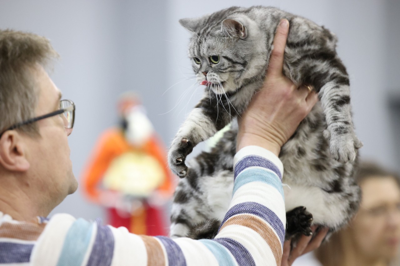 Фото © Анастасия Романова / Абзац