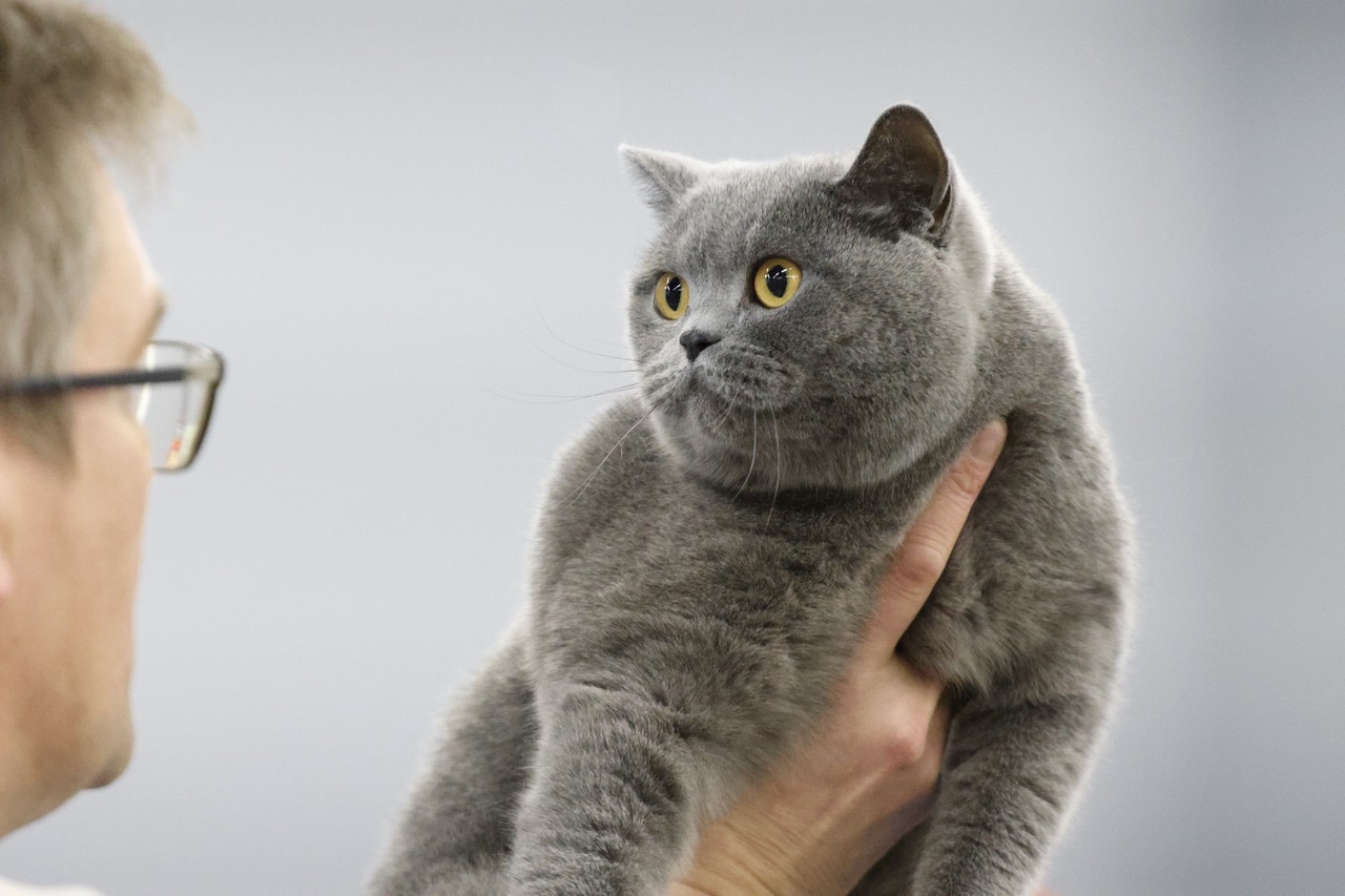 Фото © Анастасия Романова / Абзац