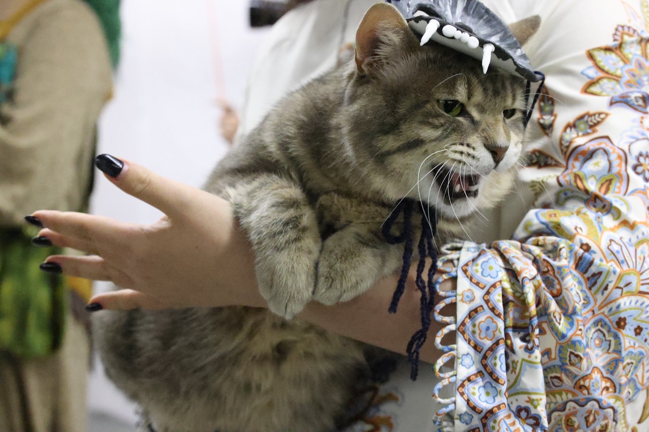 Фото © Анастасия Романова / Абзац