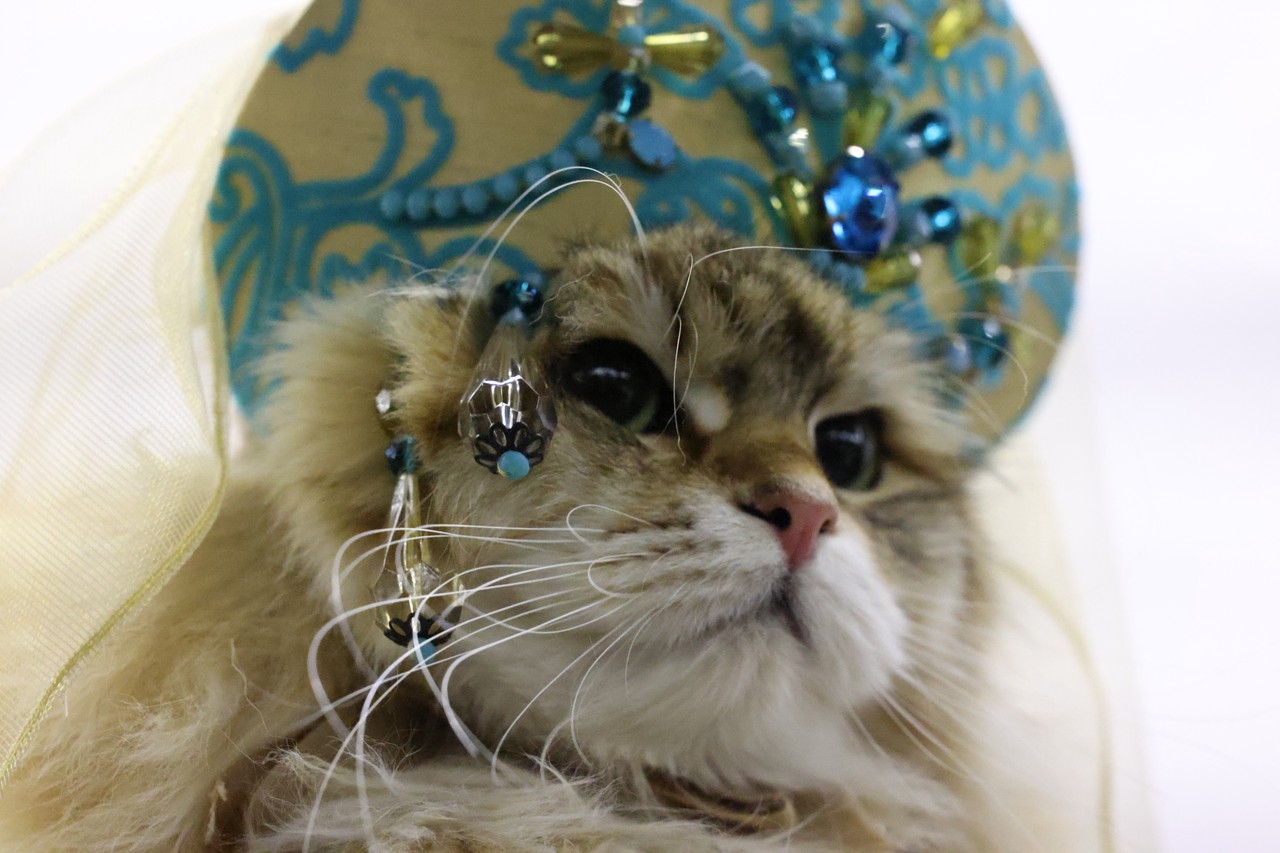 Фото © Анастасия Романова / Абзац