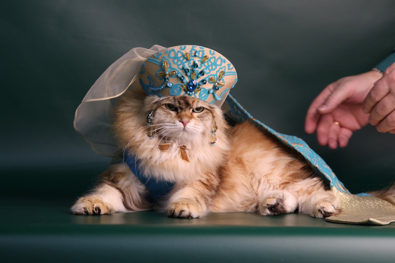 Фото © Анастасия Романова / Абзац