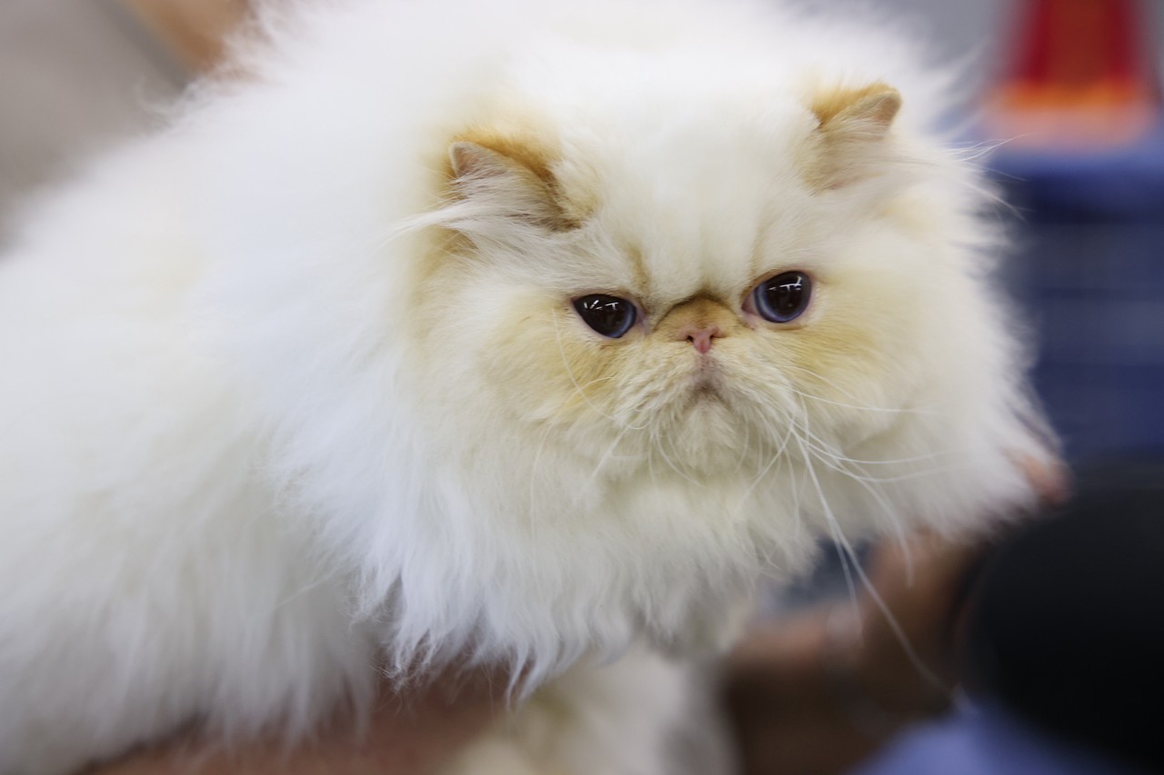 Фото © Анастасия Романова / Абзац