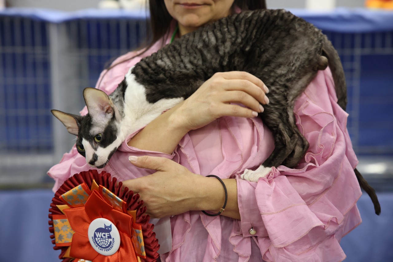 Фото © Анастасия Романова / Абзац