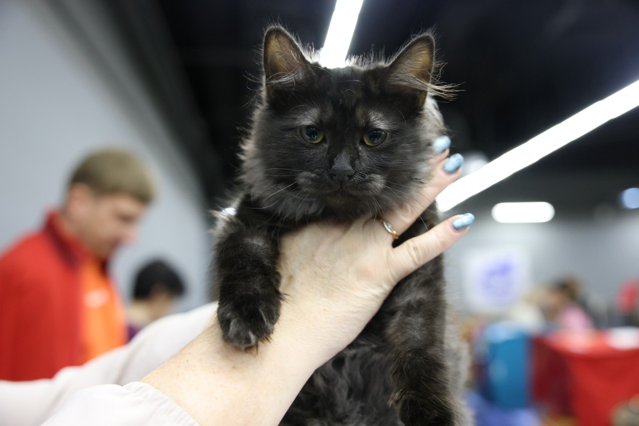 Фото © Анастасия Романова / Абзац