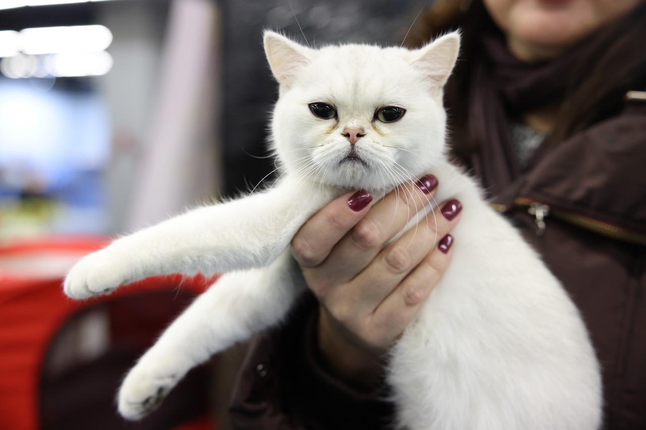 Фото © Анастасия Романова / Абзац