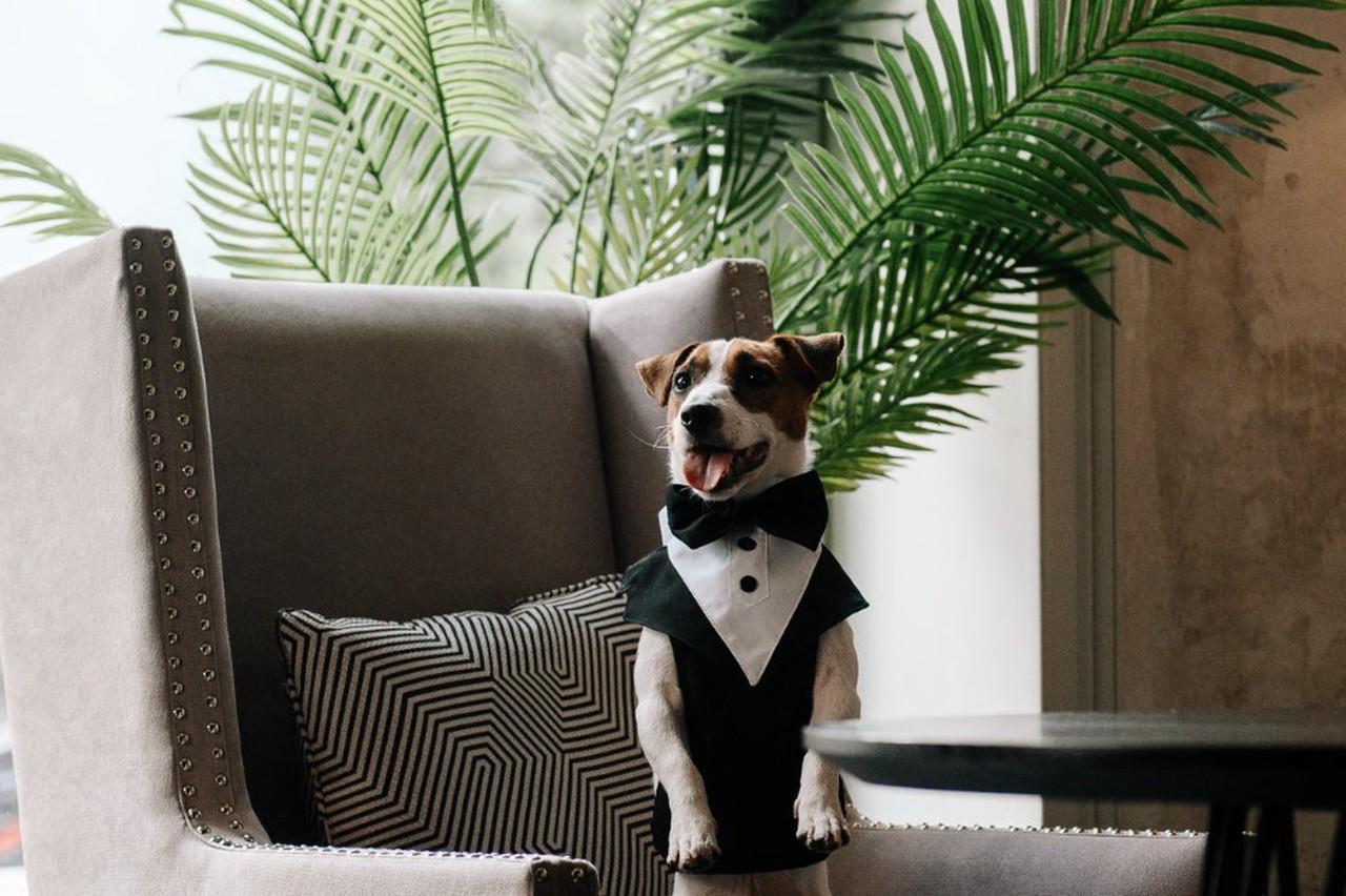 Киноафиша: какие фильмы выходят в прокат 1 января