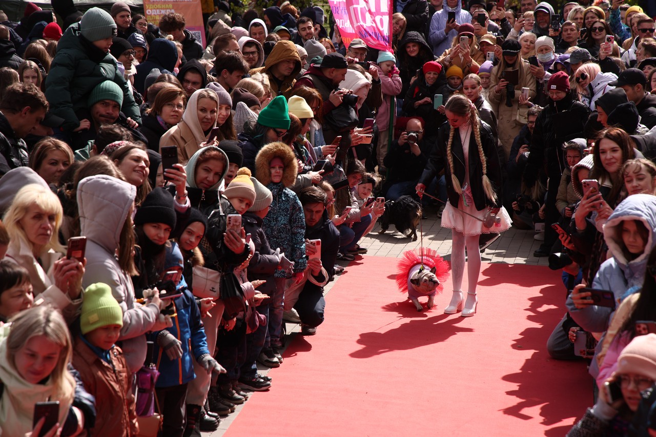 Фото © Анастасия Романова / Абзац