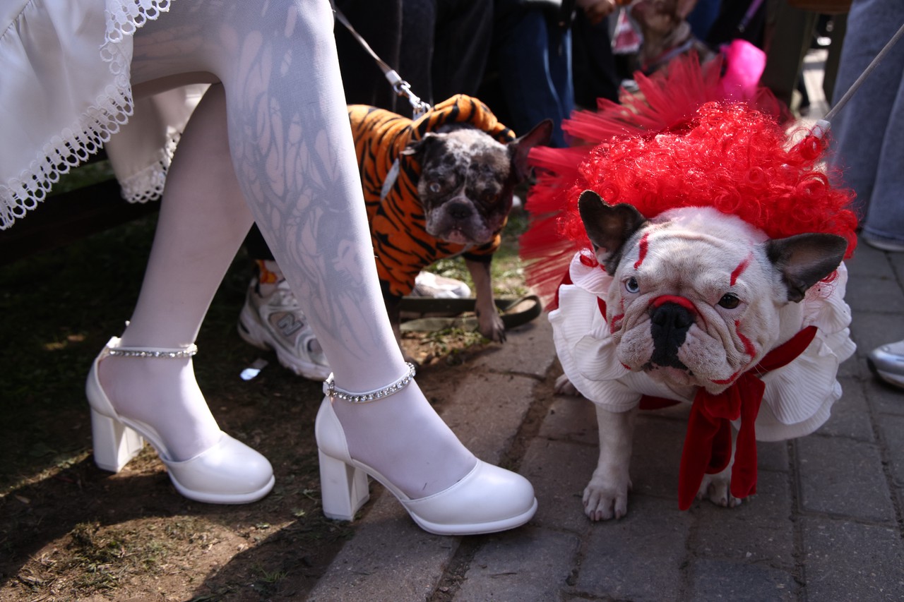 Фото © Анастасия Романова / Абзац
