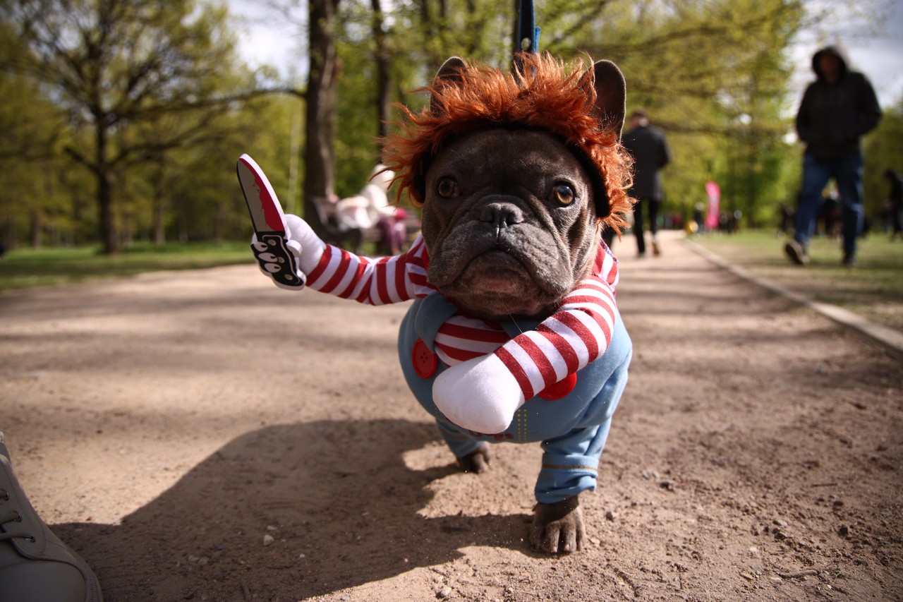 Фото © Анастасия Романова / Абзац