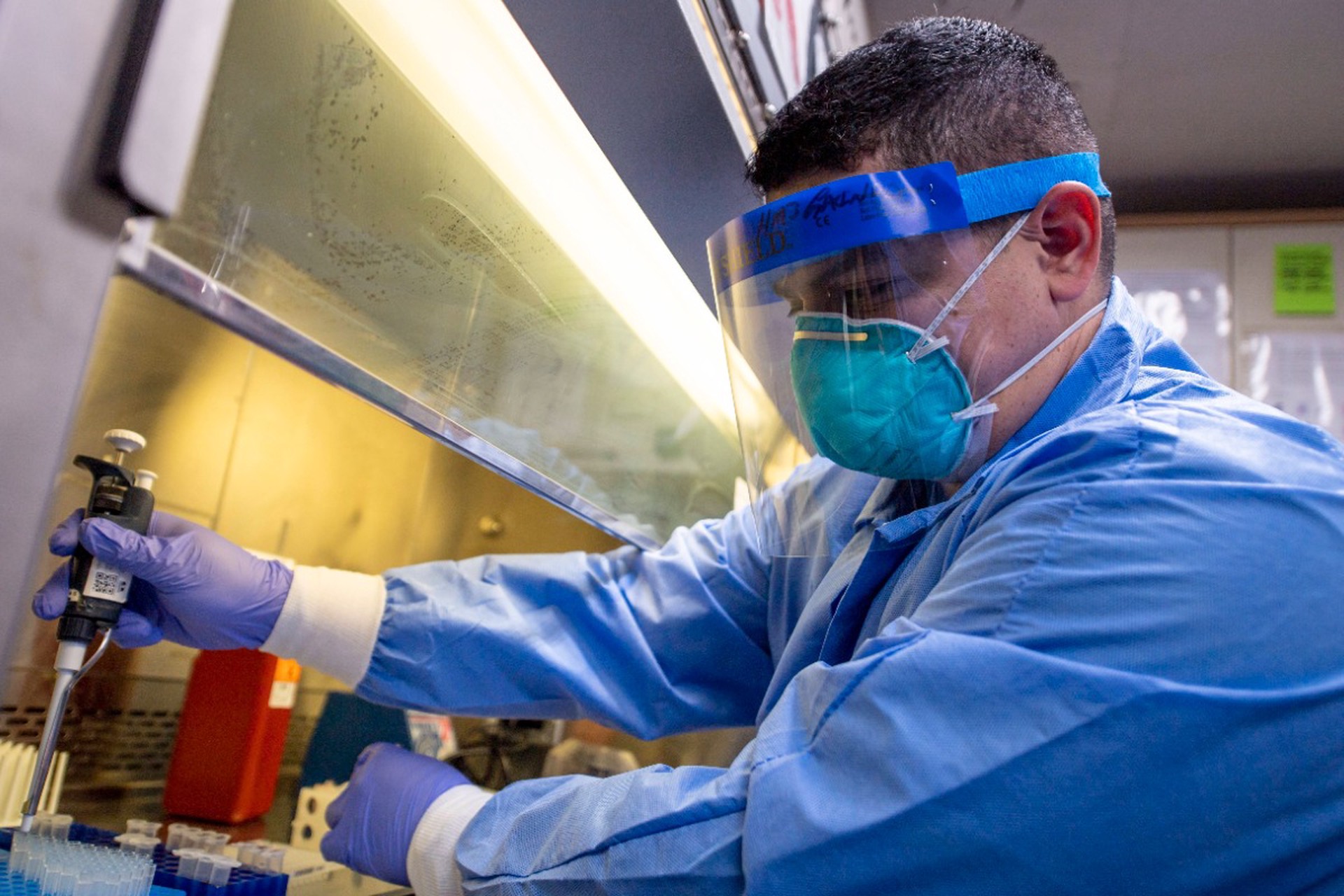 Вирус птичьего гриппа научился обходить защиту организма