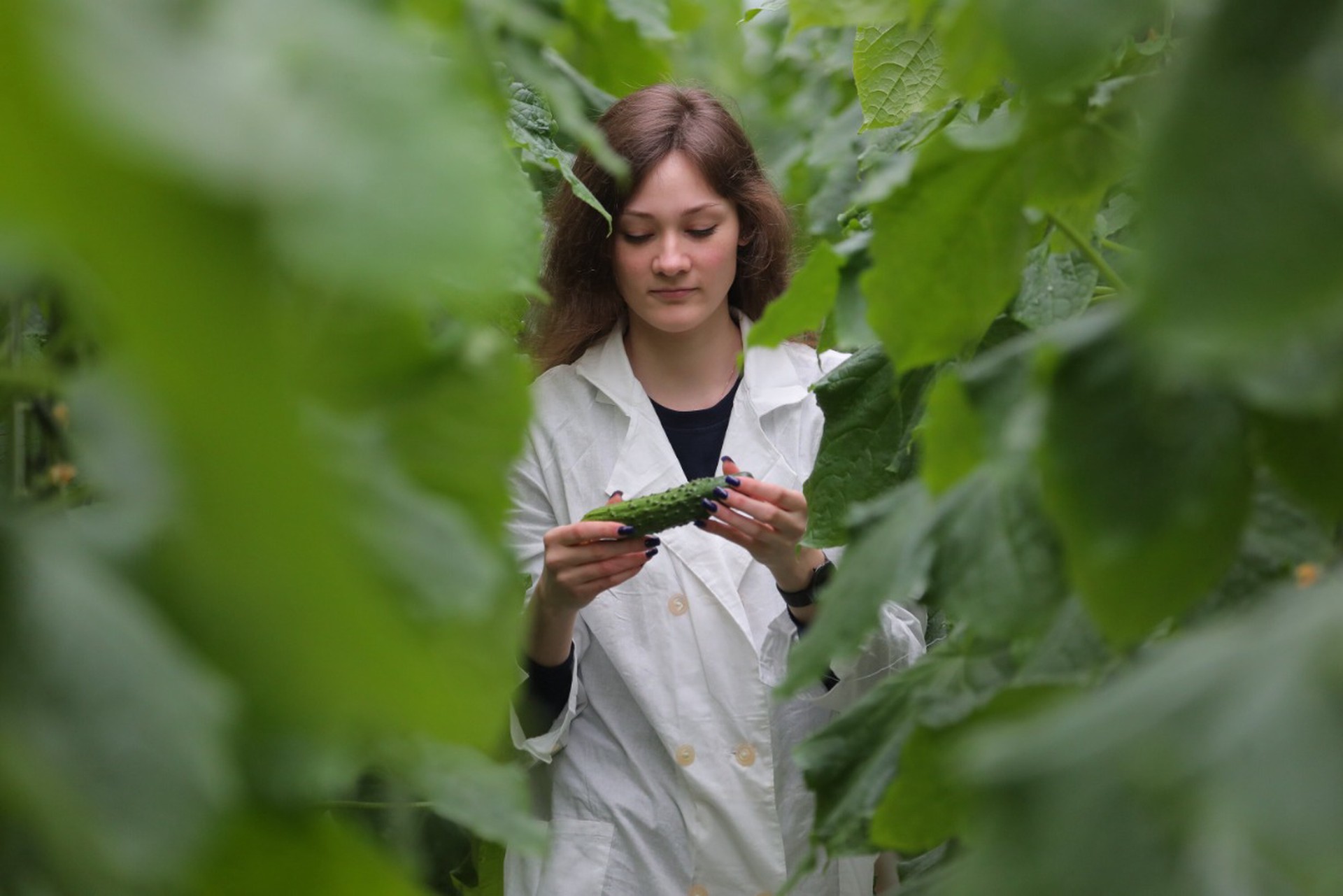 С полем пополам: как Тимирязевская академия выиграла битву за урожай