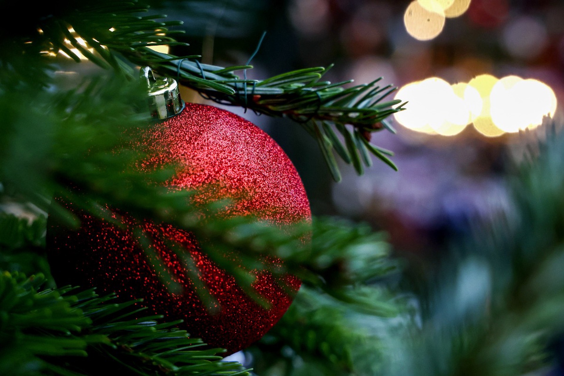 Эксперт в сфере ЖКХ напомнил о риске получить штраф за установление елки в подъезде