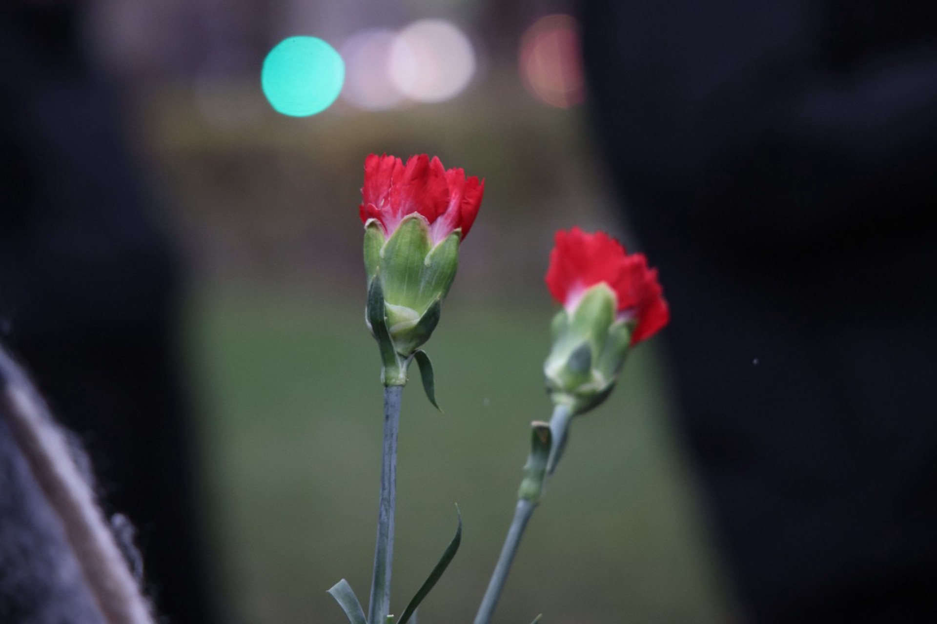 Трехдневный траур объявили в Нижнекамске из-за трагедии