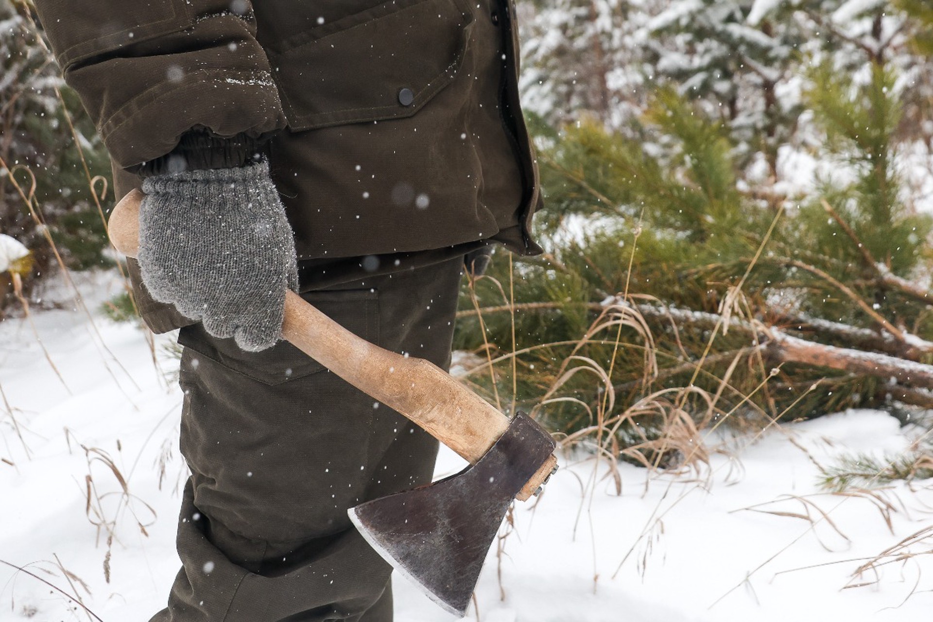 Россиянам напомнили о наказании за елочку из леса