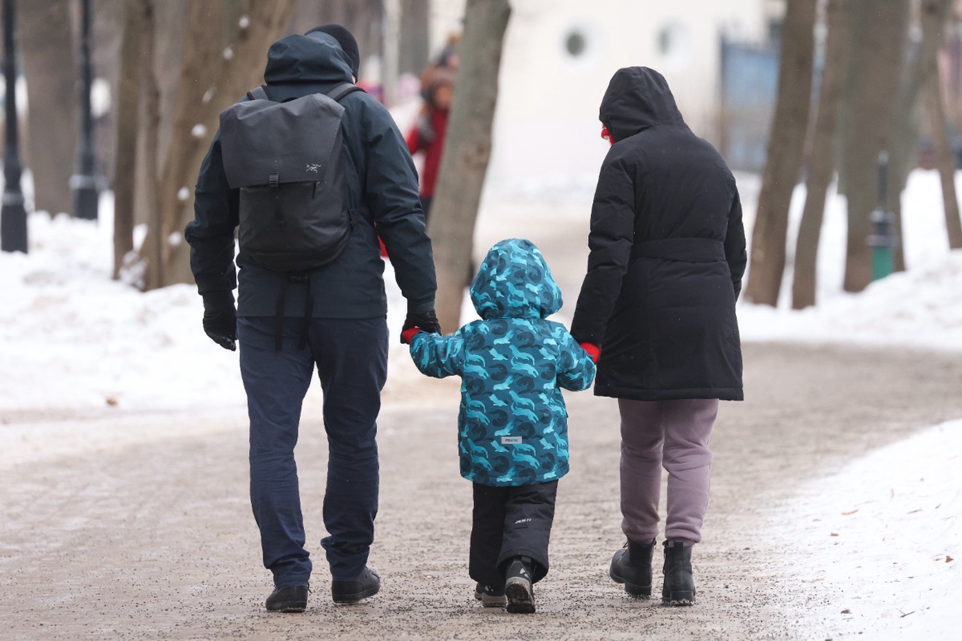 Общественники попросили переписать Конституцию РФ для выполнения инициативы Путина о защите отцовства