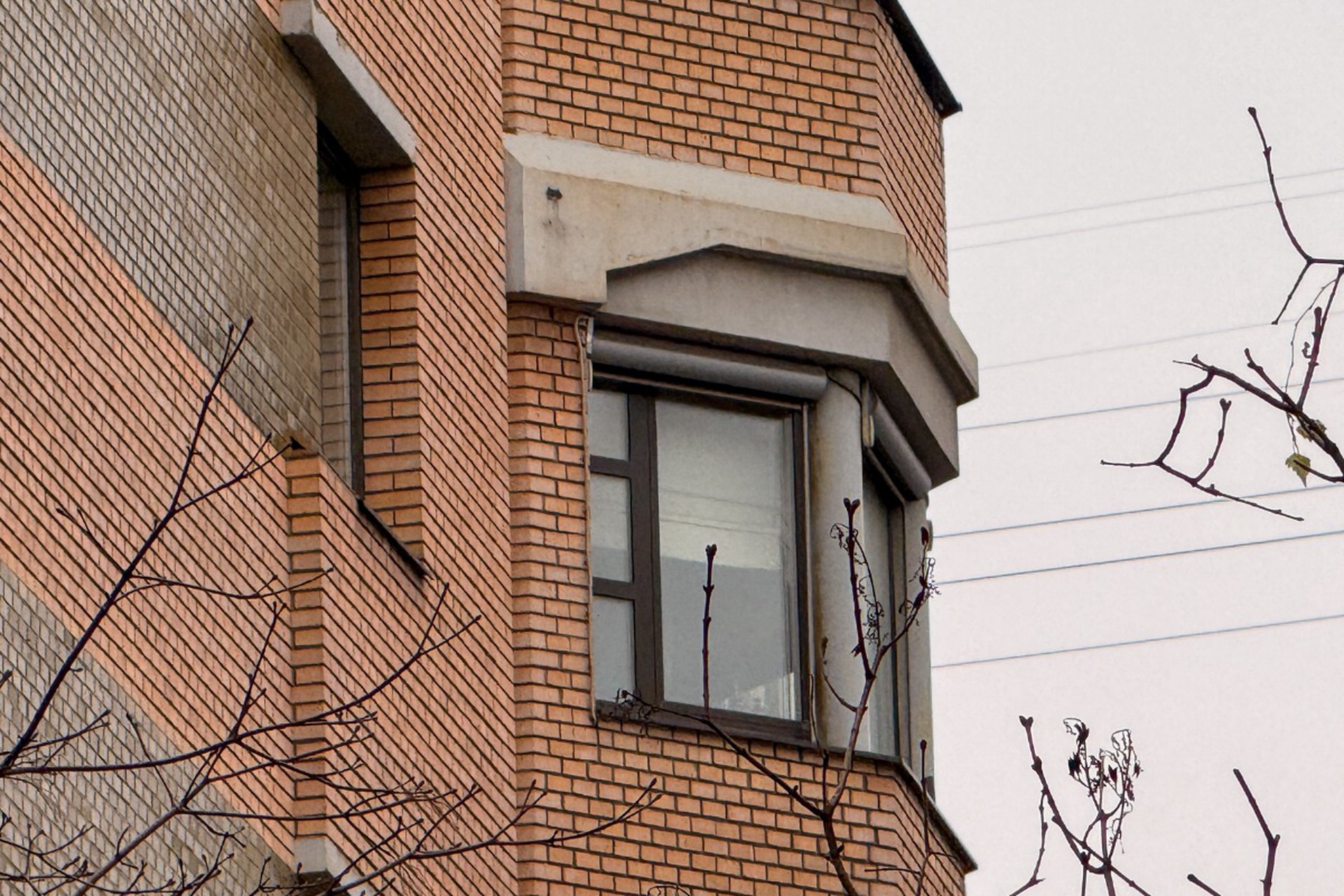 «Демоны ее раздели»: стало известно о долгах Долиной из-за мошенников