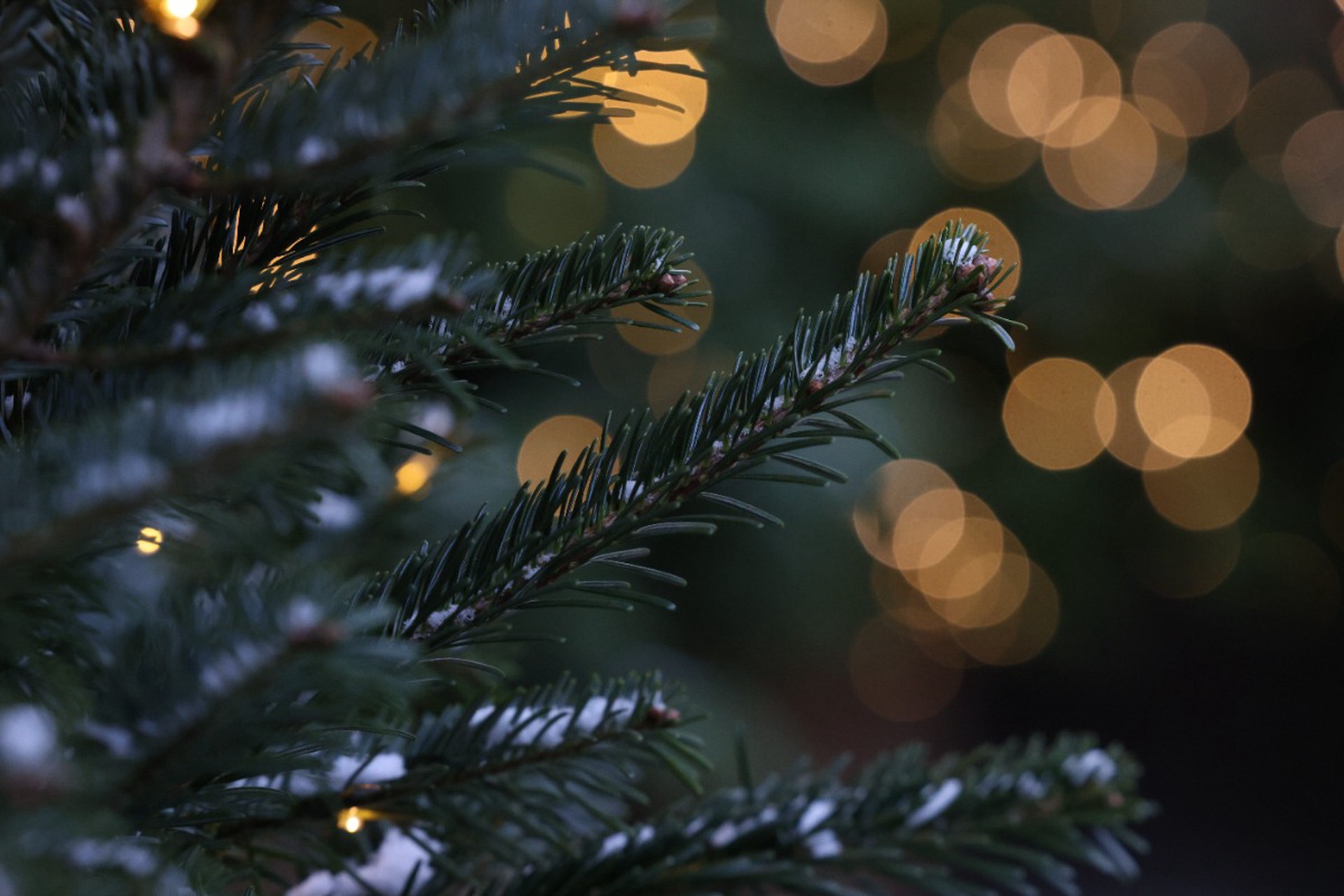 Россиянам рассказали об уникальной технике загадывания желания на Новый год