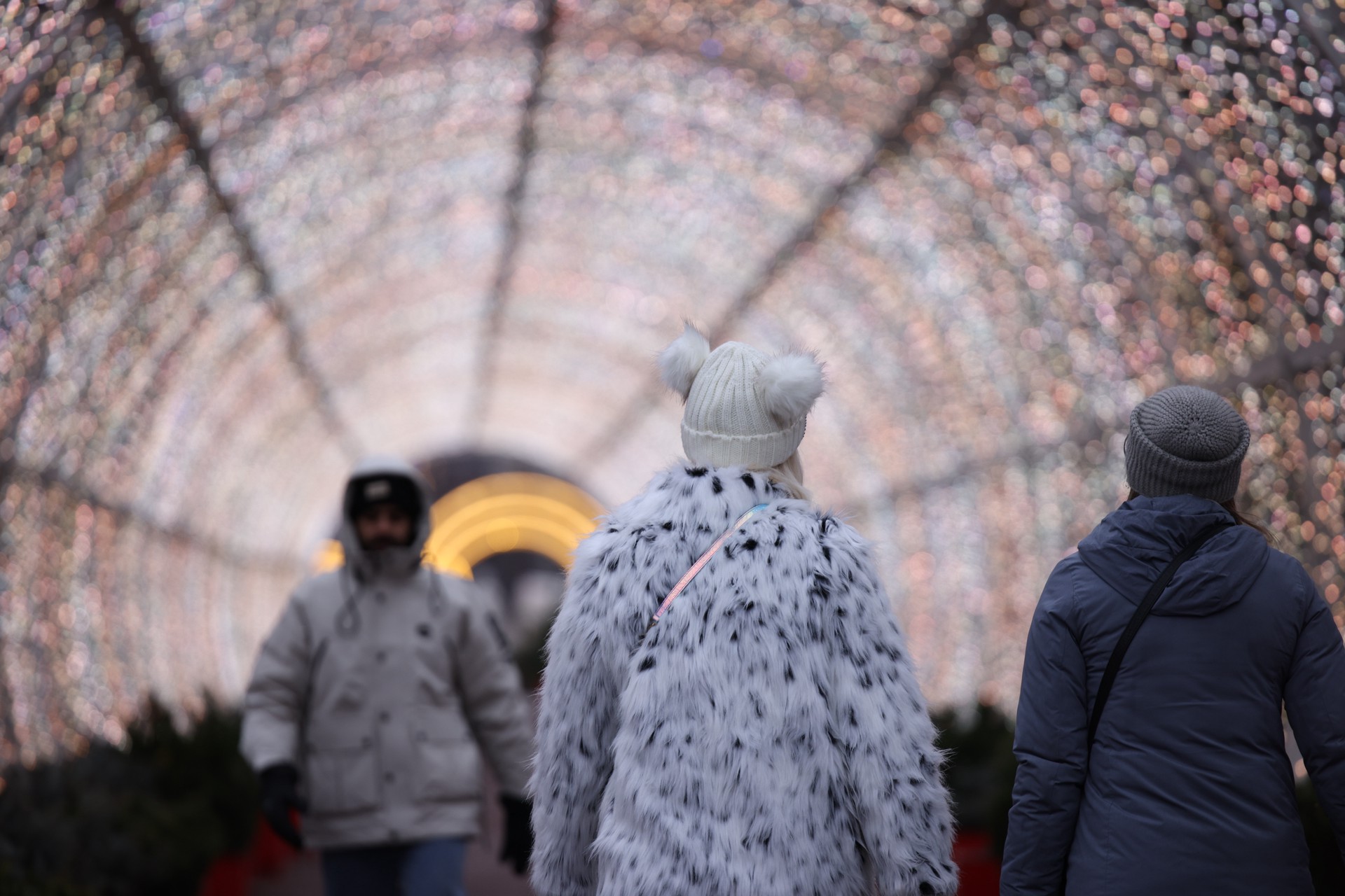 В России предложили сделать 12 декабря нерабочим днем