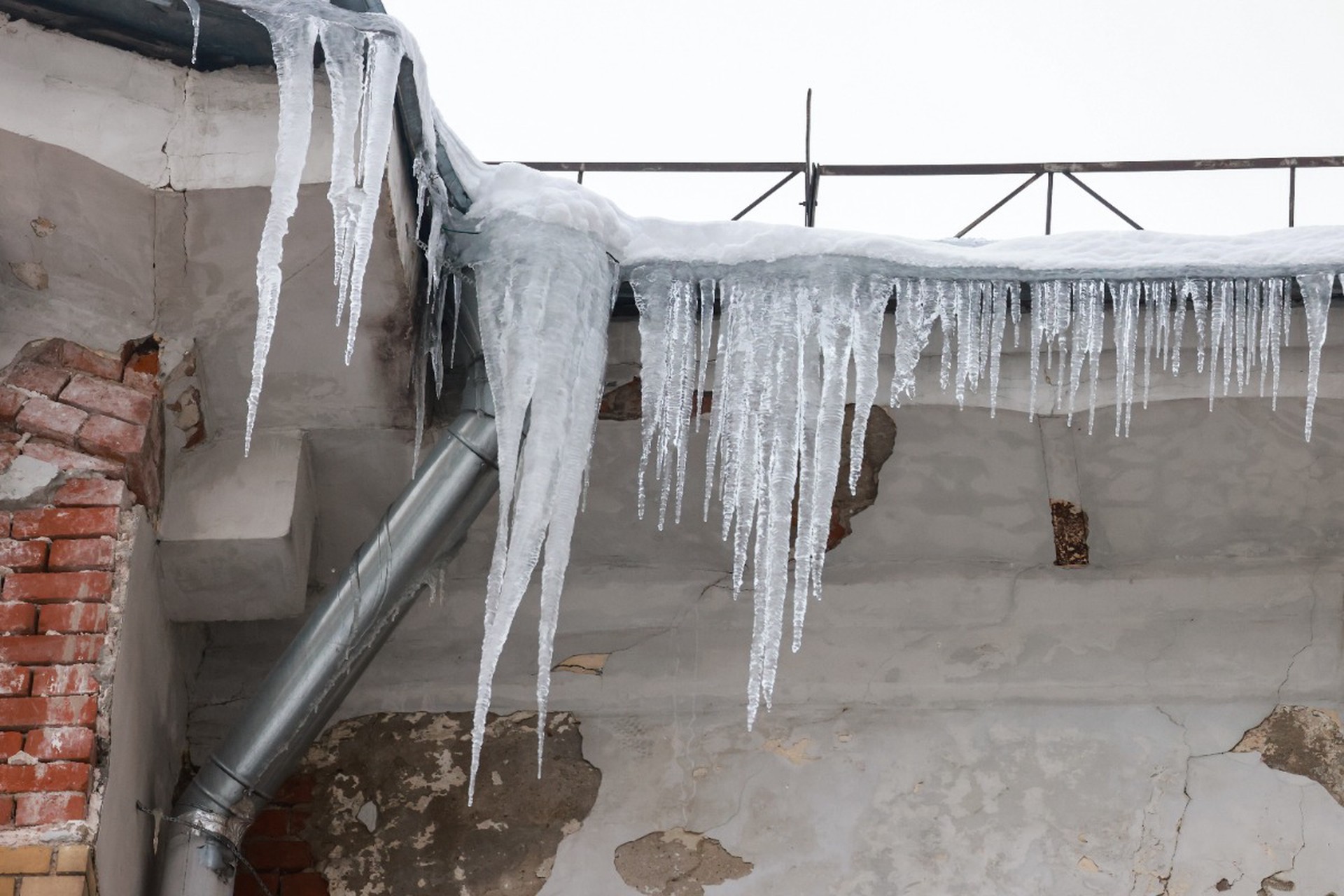 На улице российского города заметили «королевскую соплю»