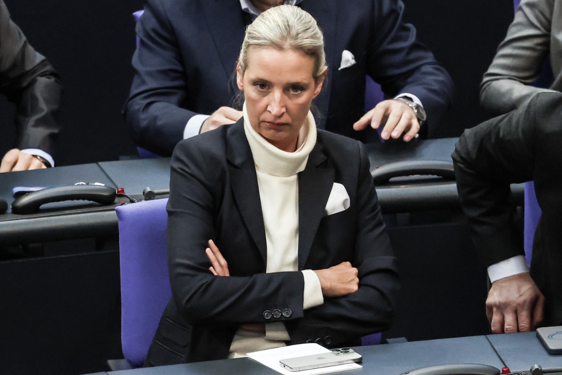 Госзамена в Германии: почему партию АдГ давят все сильнее