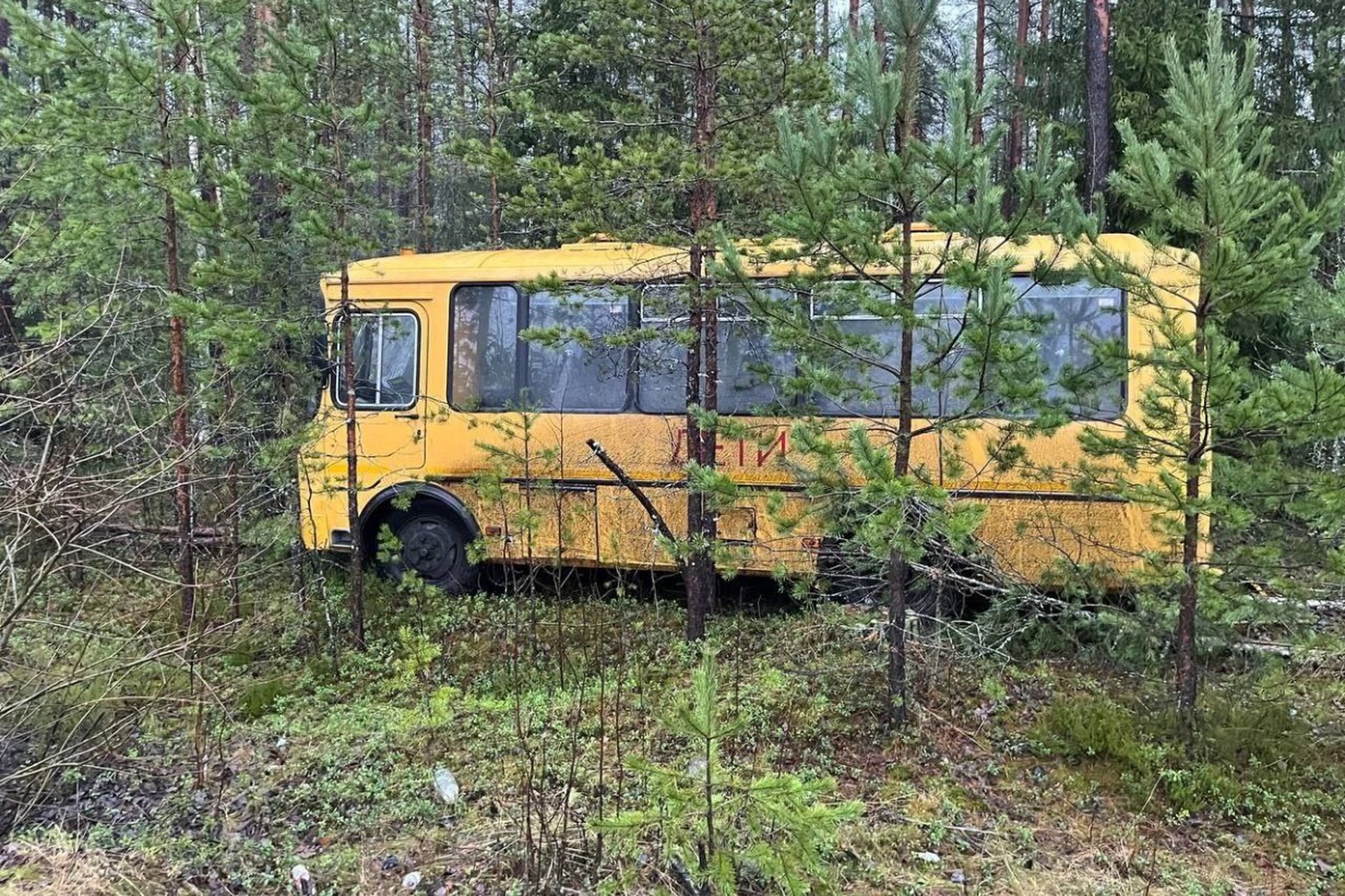 Школьный автобус улетел в канаву в российском регионе
