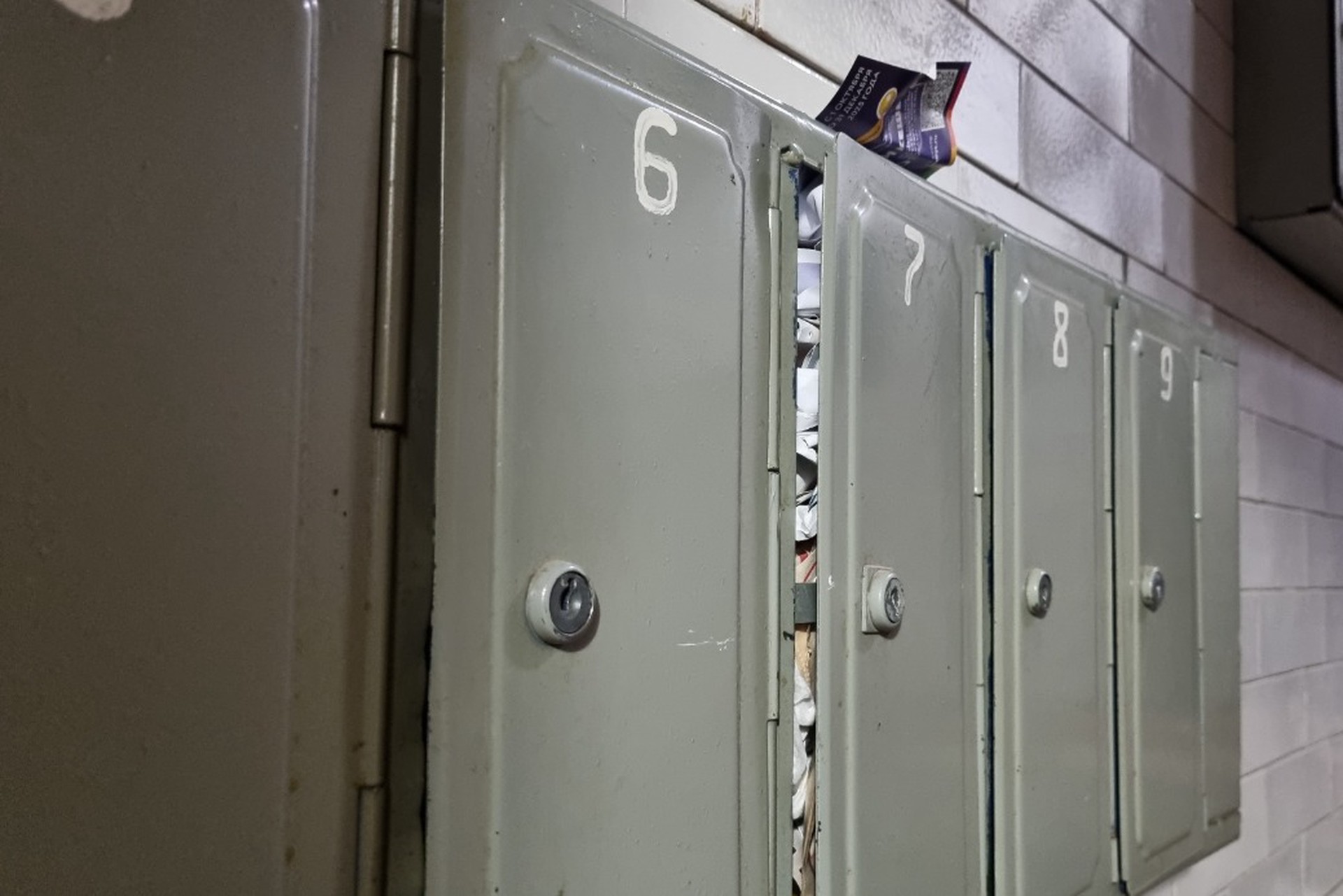 В России определили регион с самым быстрым ростом цен на квартиры