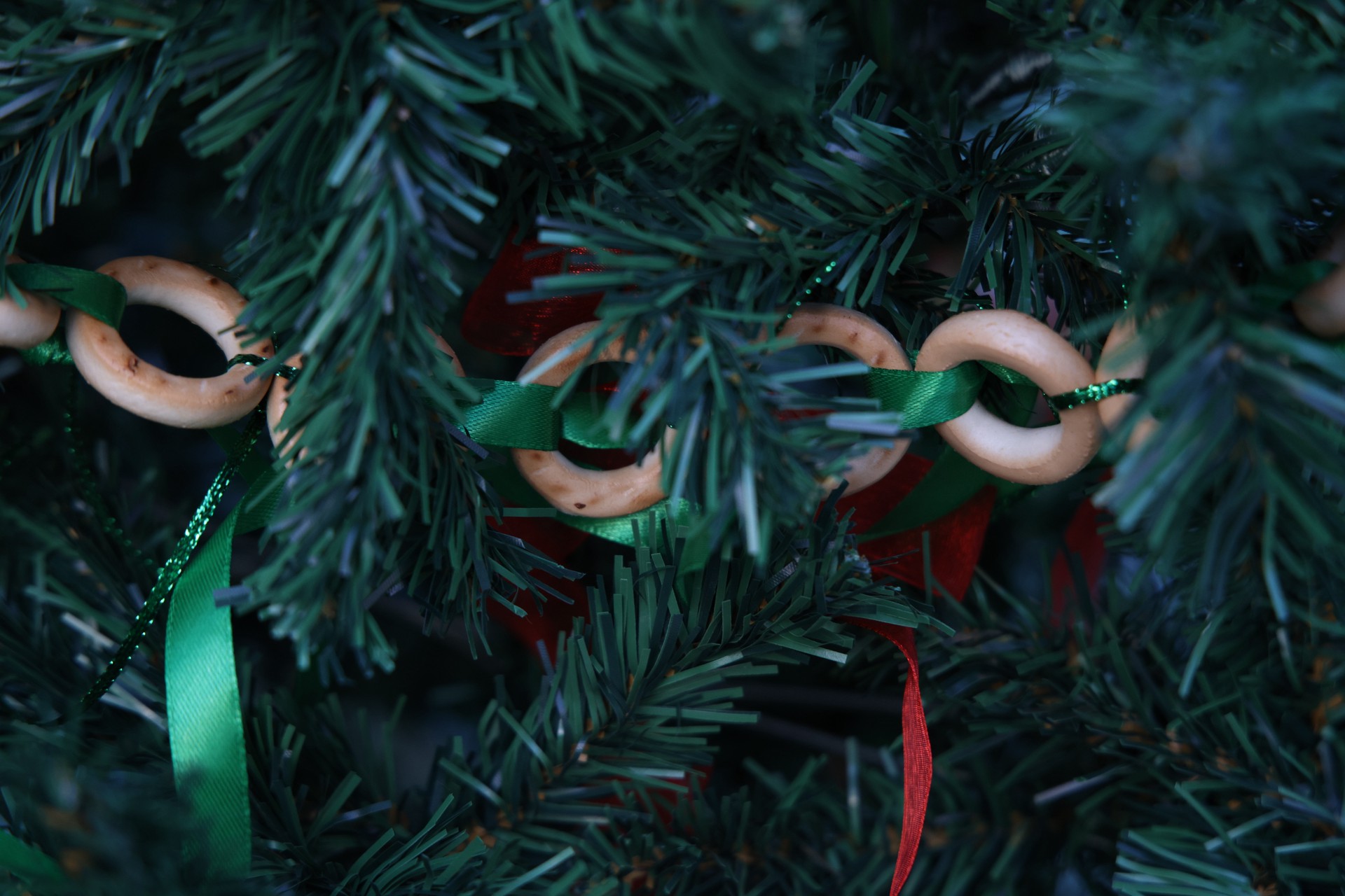 Россиянам рассказали о клещах с елок