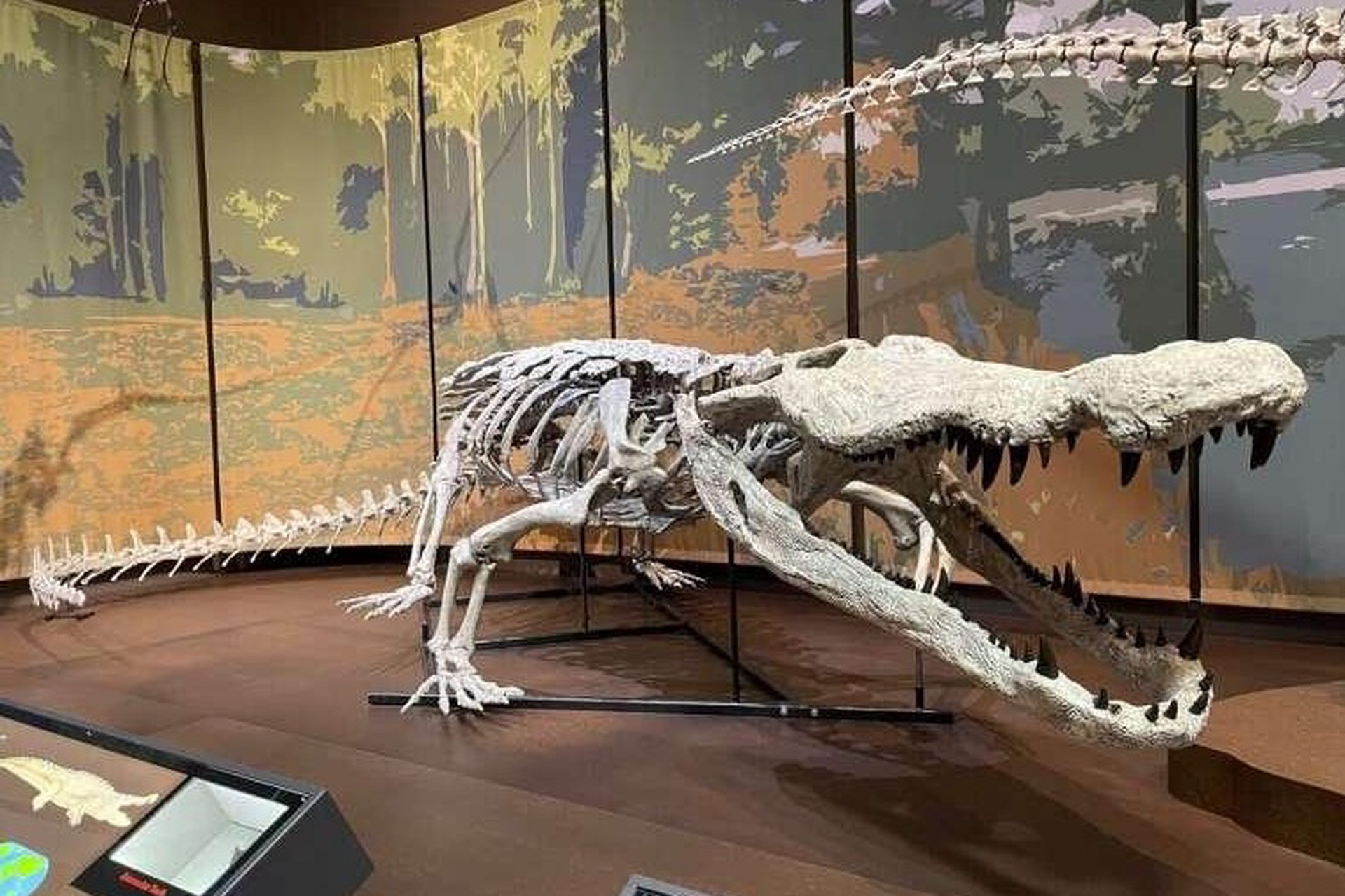 Ученые воссоздали облик древнего «убийцы динозавров»