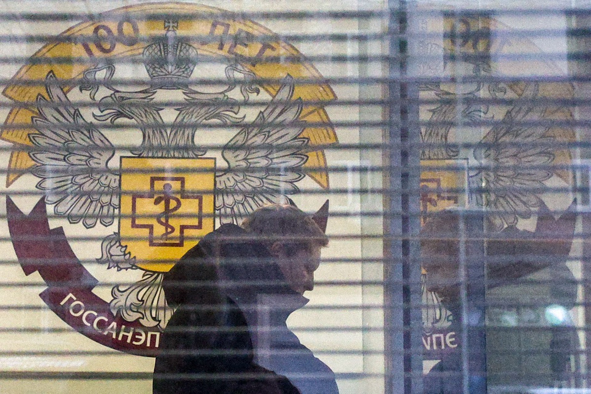 Роспотребнадзор прокомментировал вспышку заражения мышиной лихорадкой 