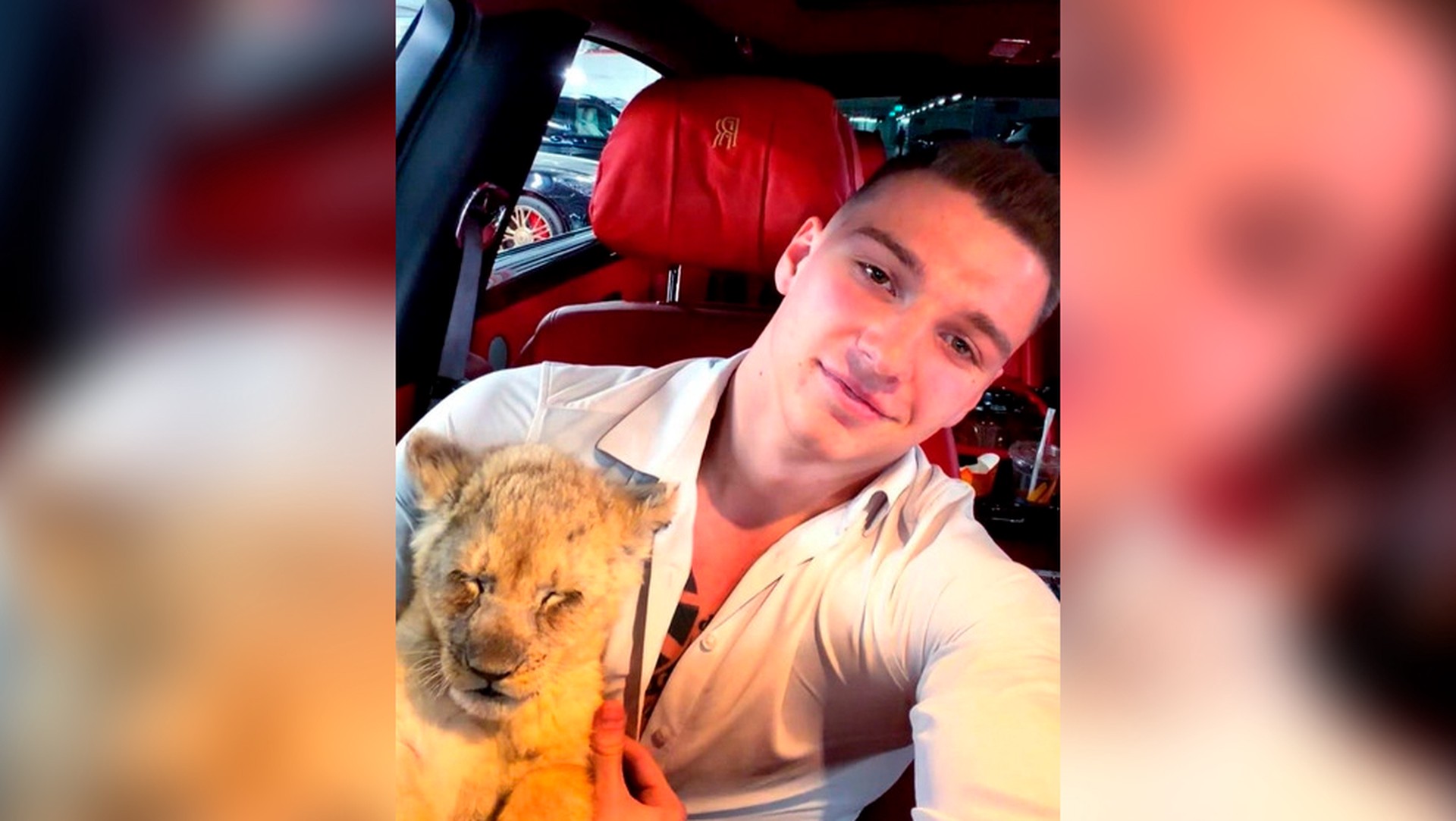 Искалеченного львенка забрали у гламурного блогера