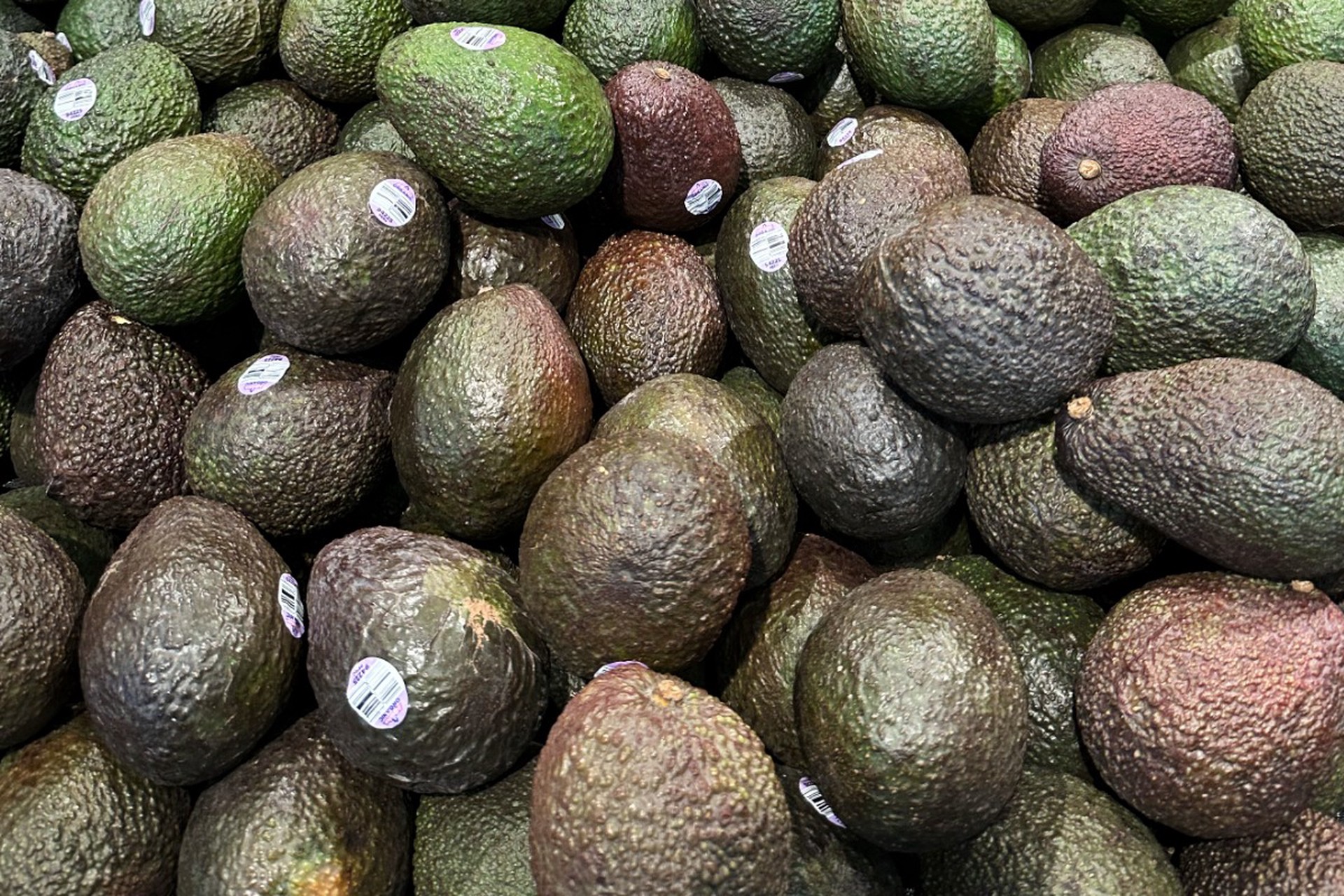 Американский Робин Гуд воровал авокадо ради рождественских подарков